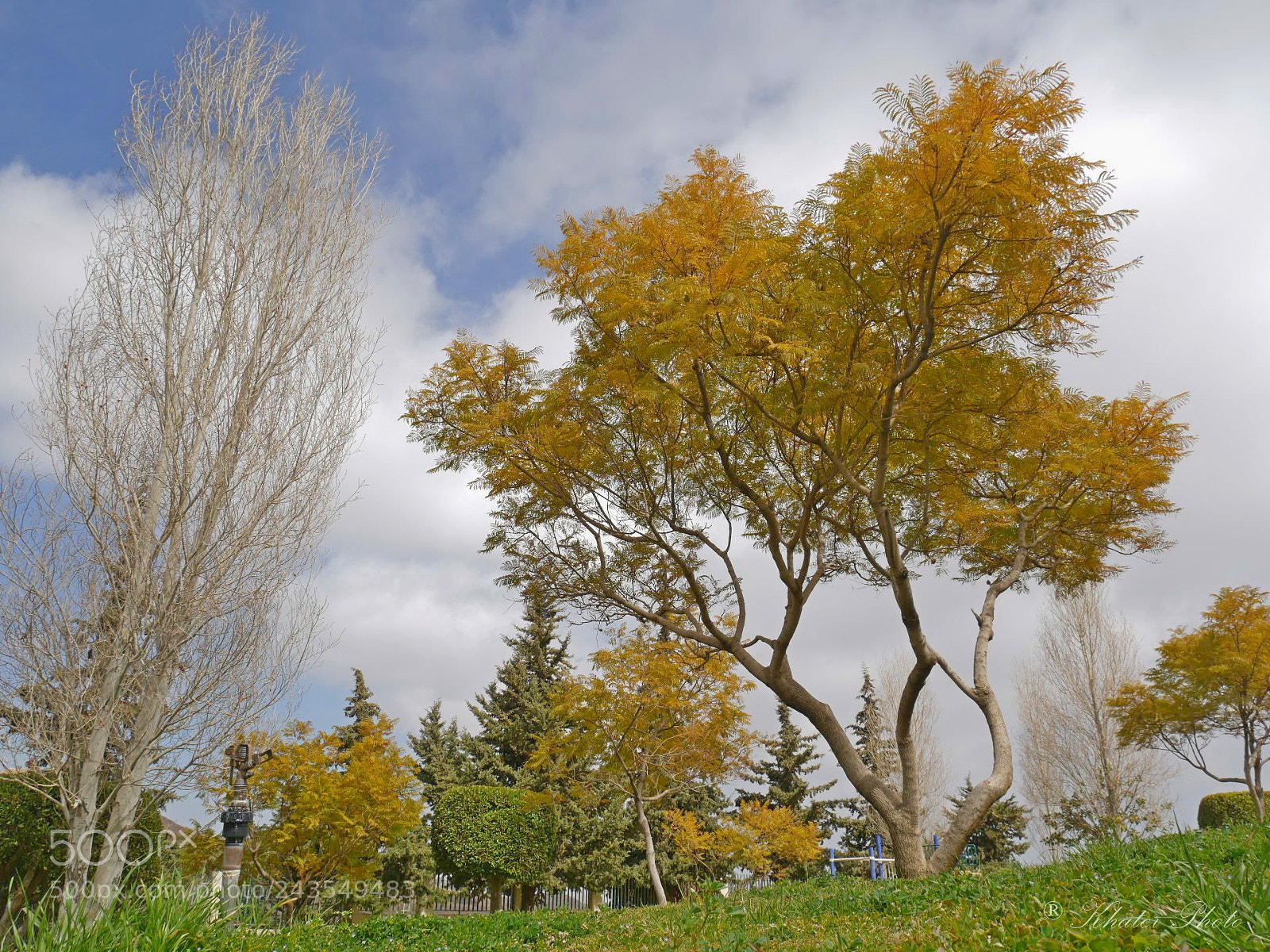 Panasonic Lumix DMC-GX85 (Lumix DMC-GX80 / Lumix DMC-GX7 Mark II) sample photo. Autumn photography