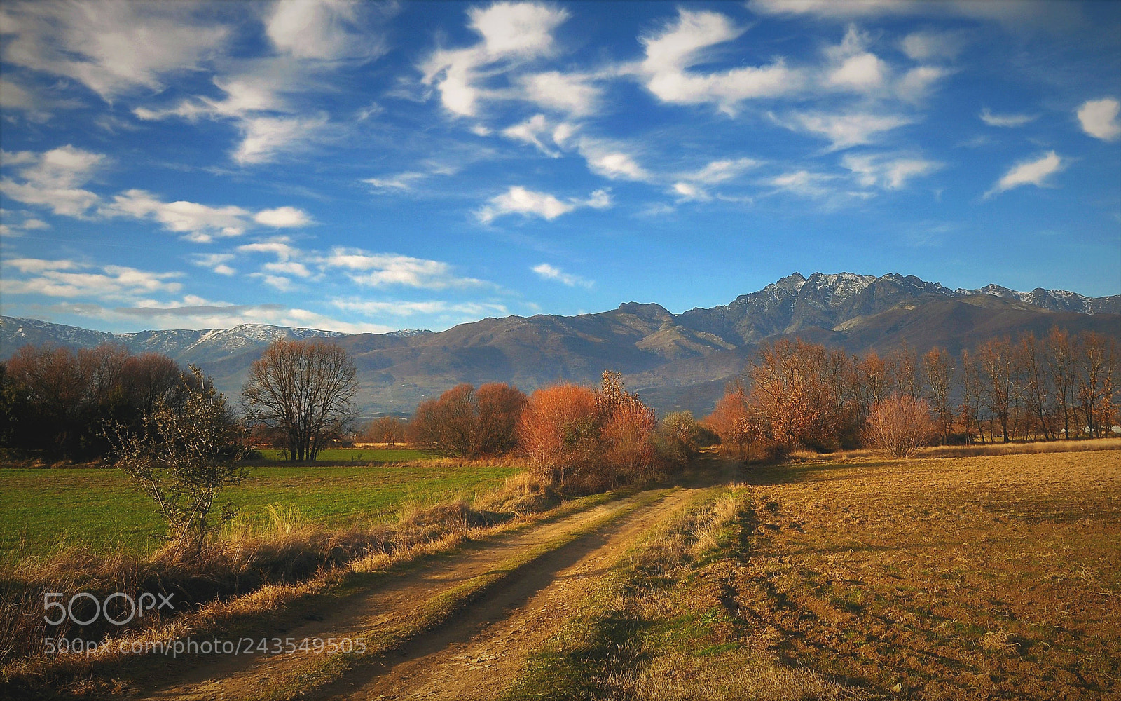 Nikon D90 sample photo. Invierno en gredos photography