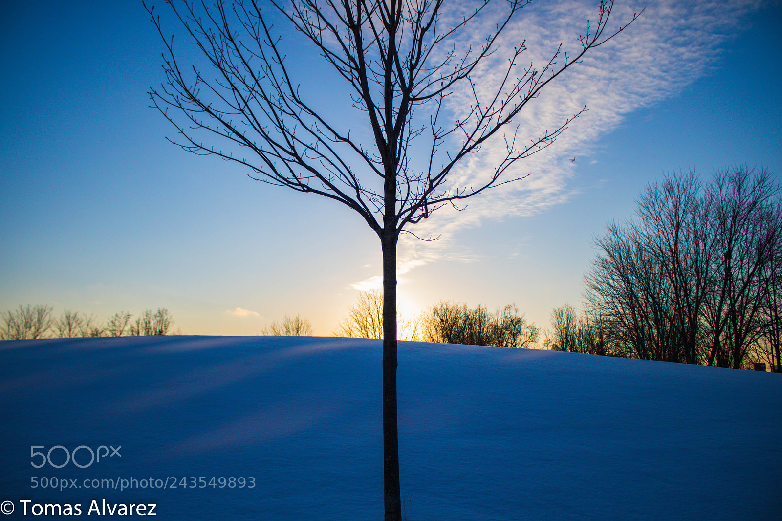 Canon EOS 750D (EOS Rebel T6i / EOS Kiss X8i) sample photo. Sunset. photography