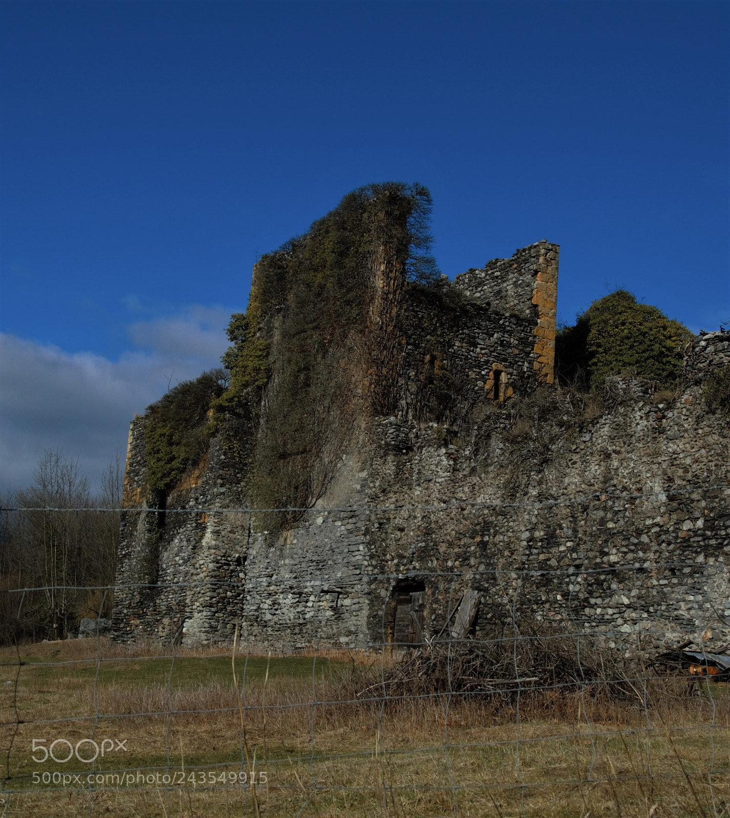 Nikon D3200 sample photo. Untitled photography