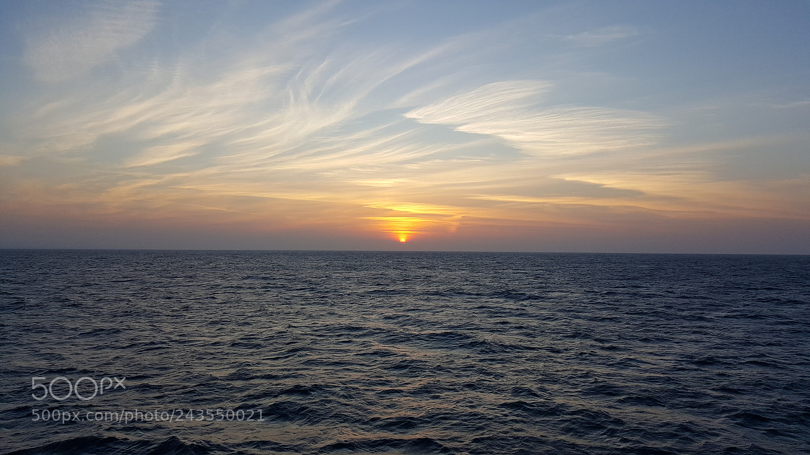 Samsung Galaxy S6 sample photo. Untitled photography