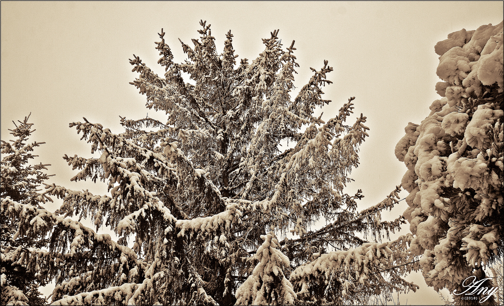 Canon EF-S 18-55mm F3.5-5.6 II sample photo. Winter.... photography