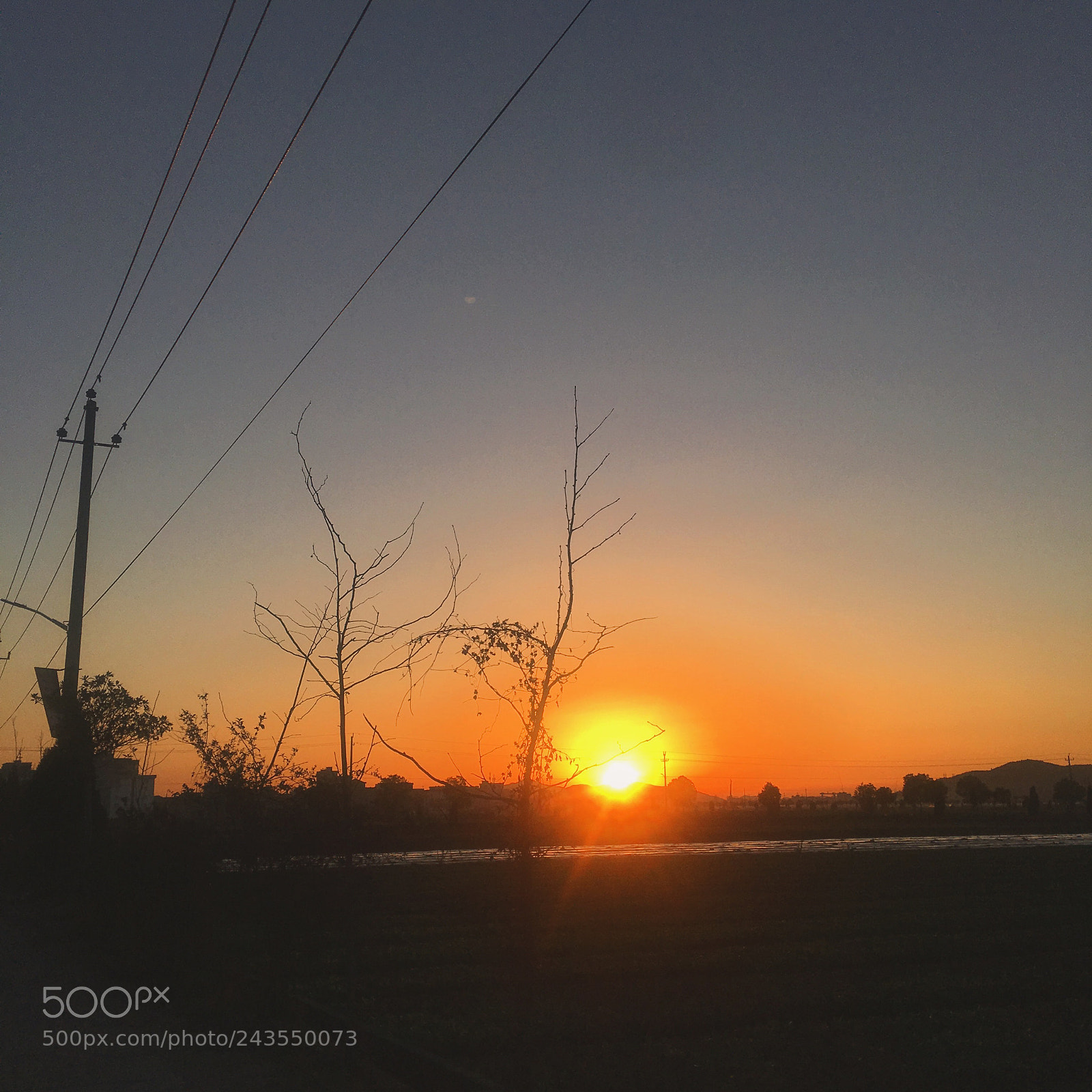 Apple iPhone 6s sample photo. Untitled photography