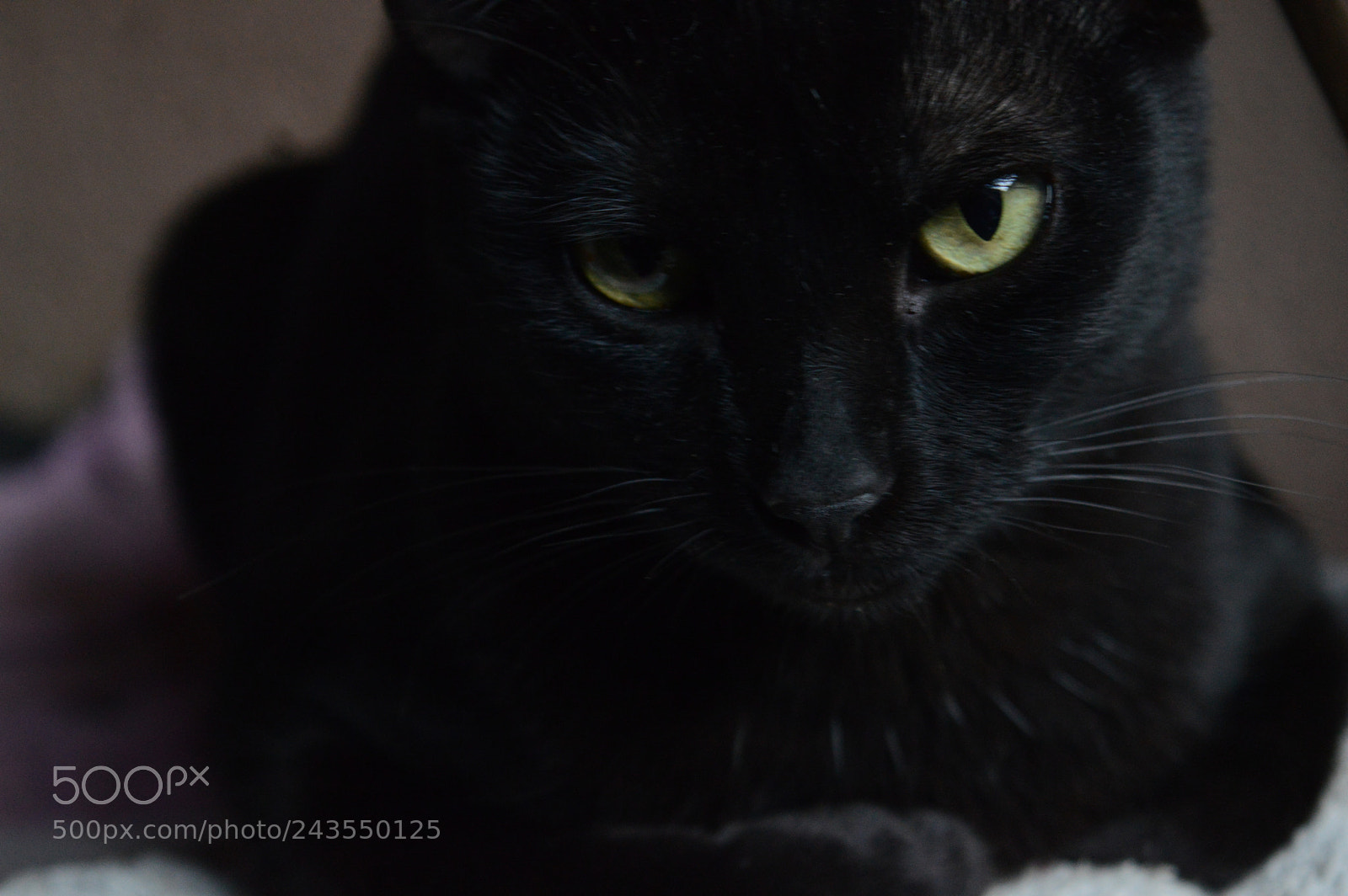 Nikon D3200 sample photo. Untitled photography