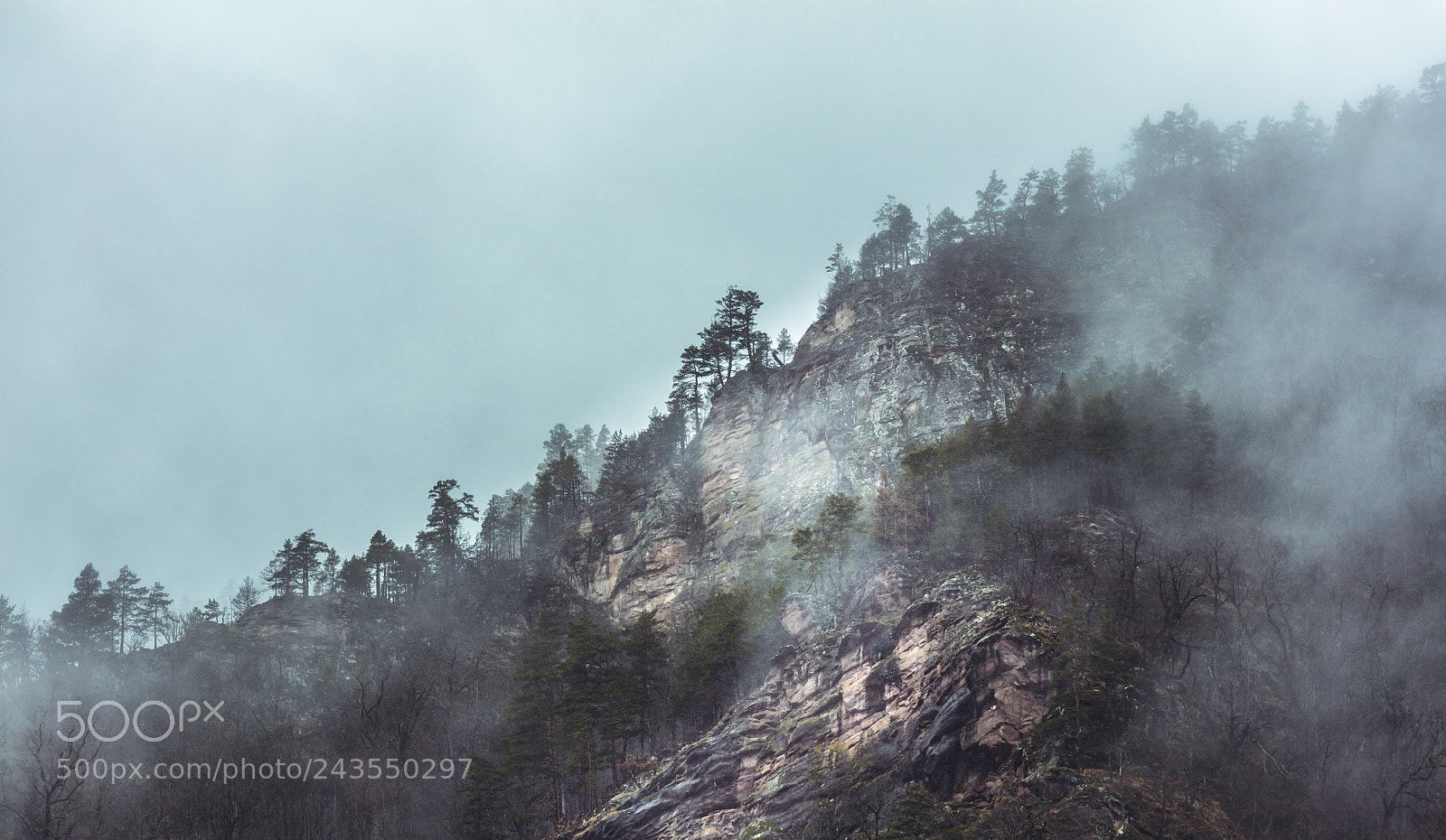 Canon EOS 5DS R sample photo. The breath of the photography