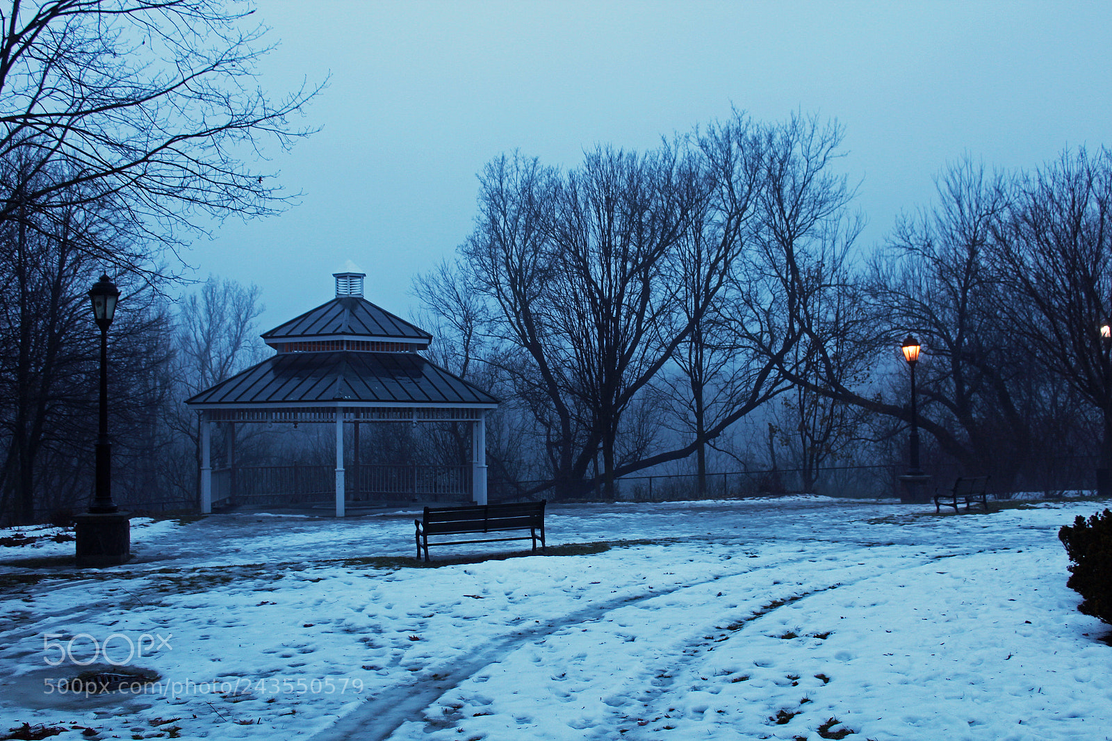 Canon EOS 1200D (EOS Rebel T5 / EOS Kiss X70 / EOS Hi) sample photo. Fog + sunrise photography