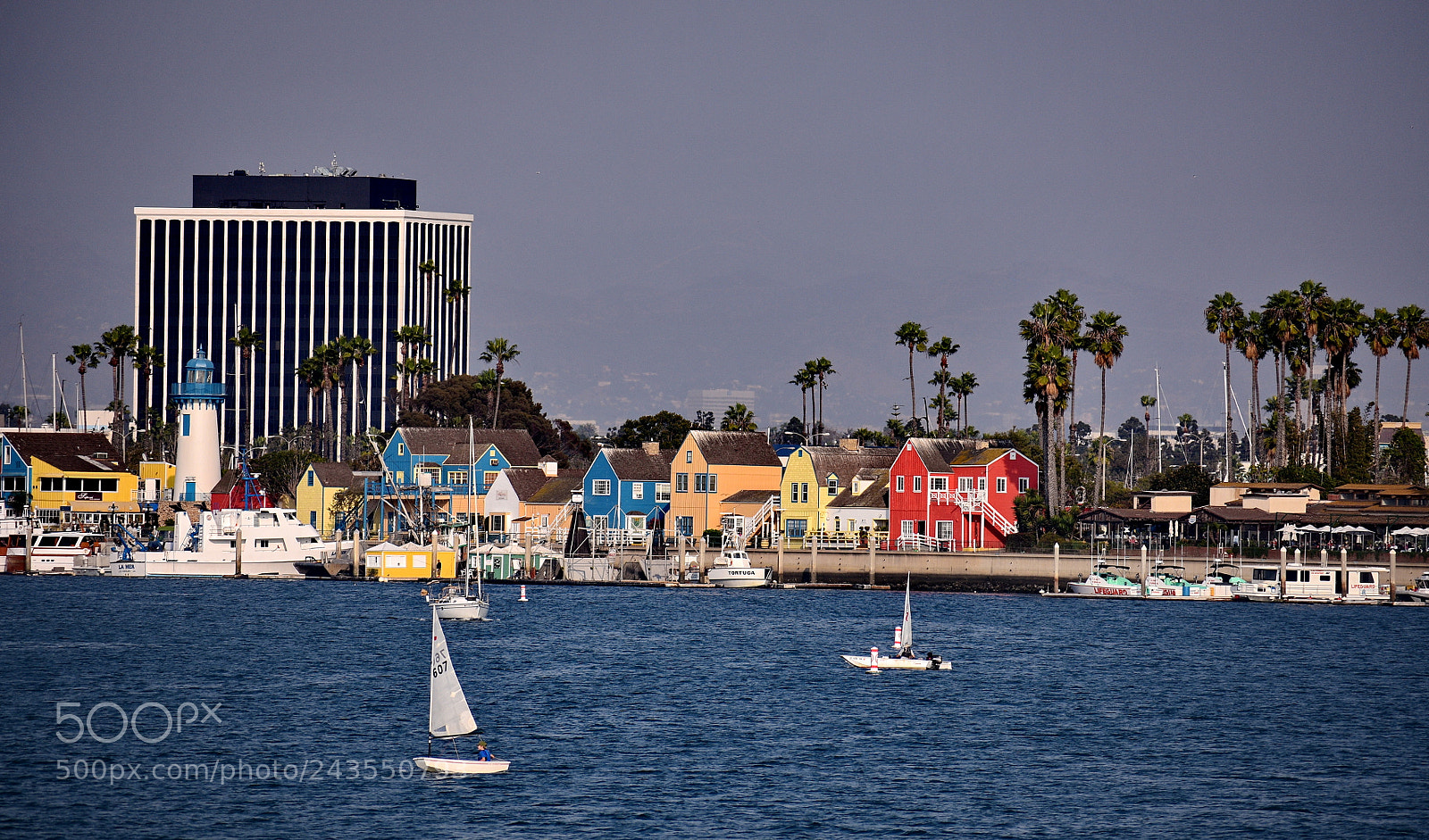 Nikon D7200 sample photo. Marina dock and harbor photography