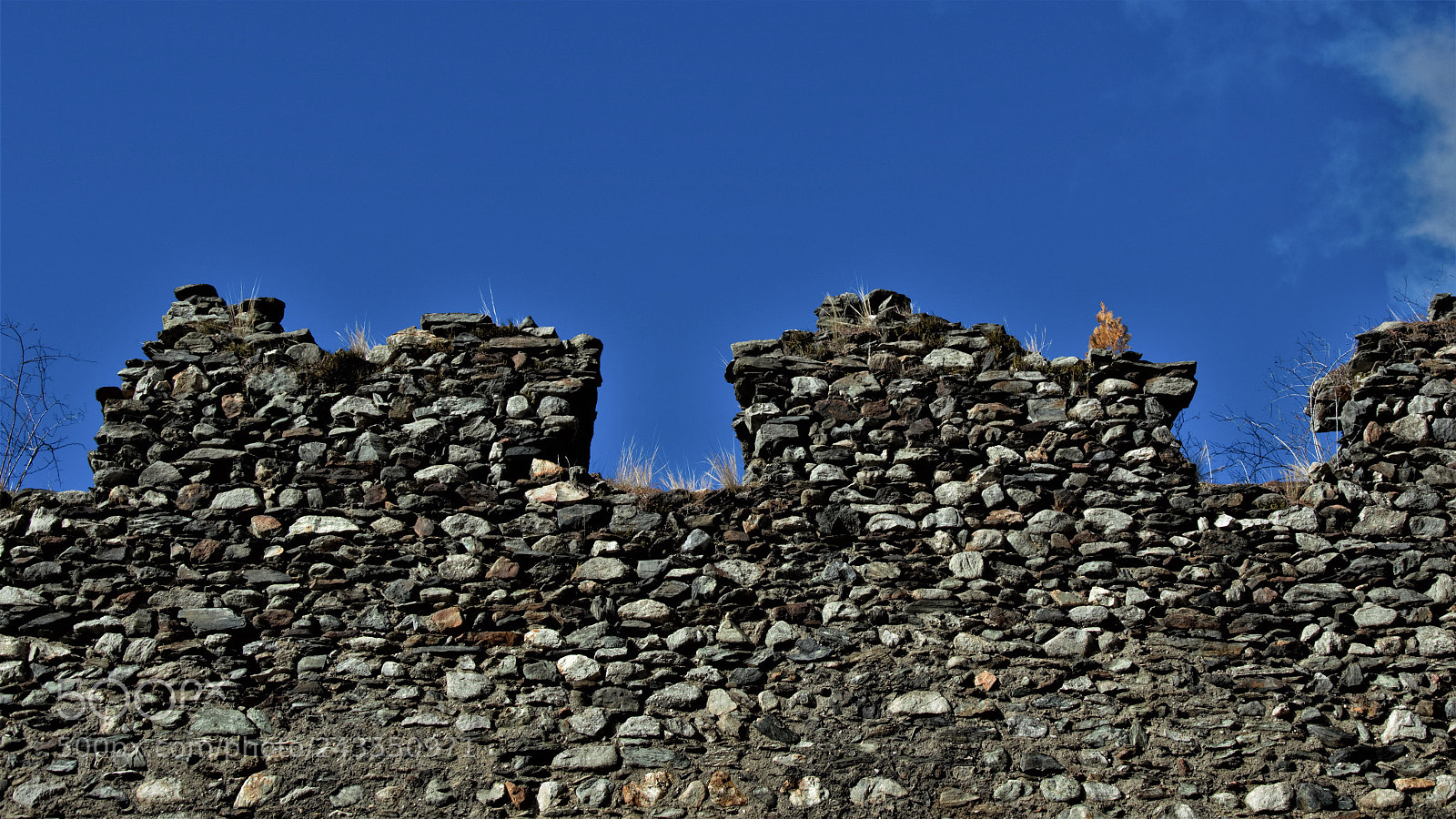 Nikon D3200 sample photo. Untitled photography