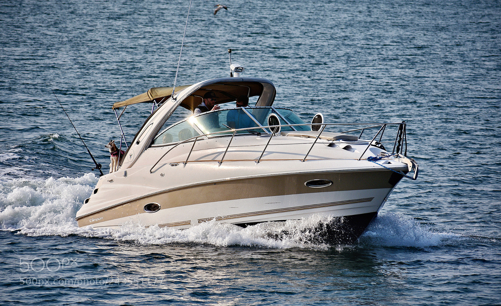 Nikon D7200 sample photo. Powerboat cruising the pacific photography