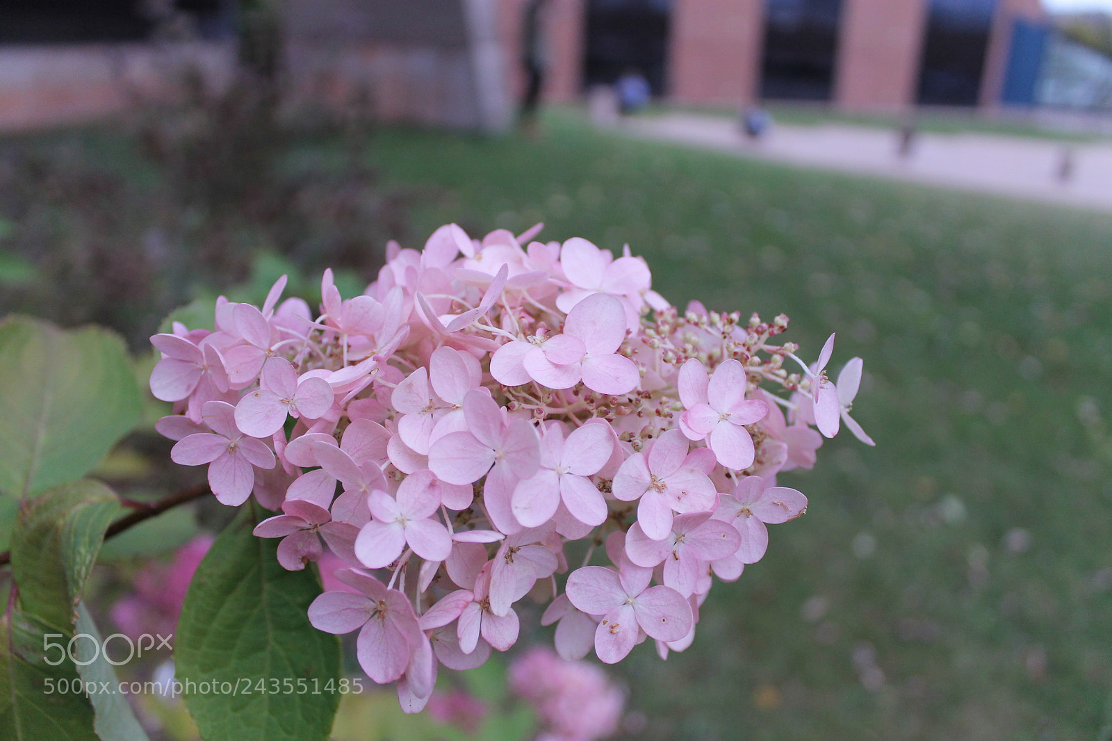 Canon EOS 1100D (EOS Rebel T3 / EOS Kiss X50) sample photo. Unedited photography
