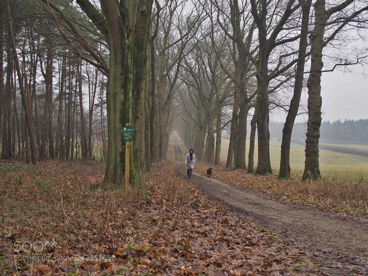 Olympus PEN E-P5 sample photo. Mistige ochtend photography