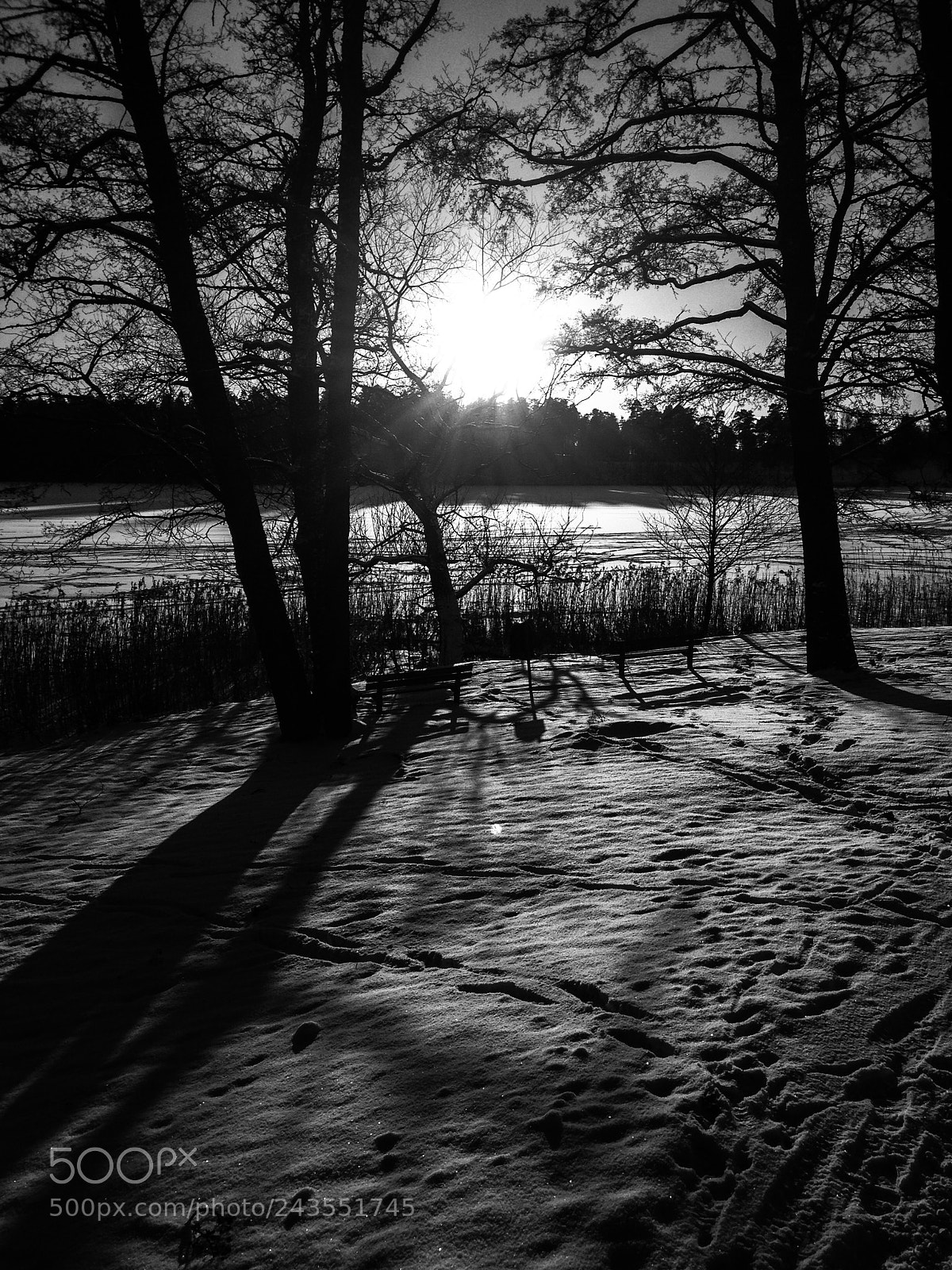 Apple iPhone 5 sample photo. Winter day in bw. photography