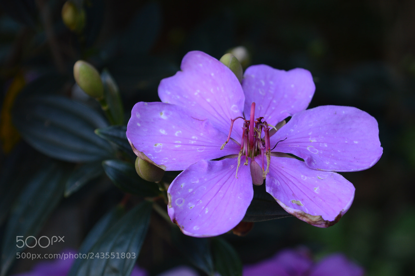 Nikon D3200 sample photo. Untitled photography
