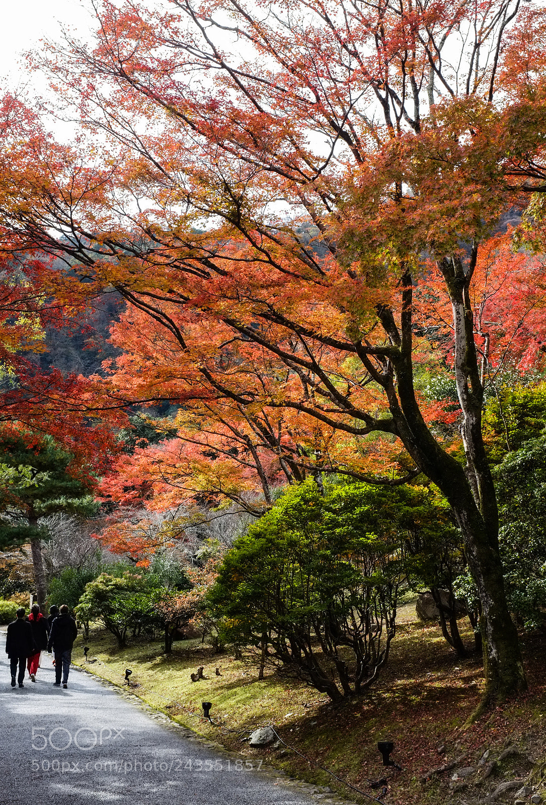 Fujifilm FinePix X100 sample photo. In memories photography