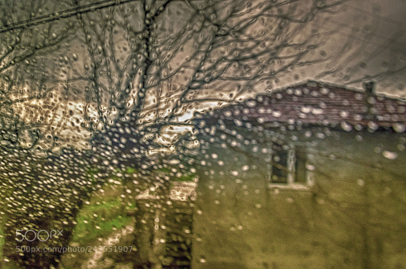 Nikon D5100 sample photo. Rainy photography