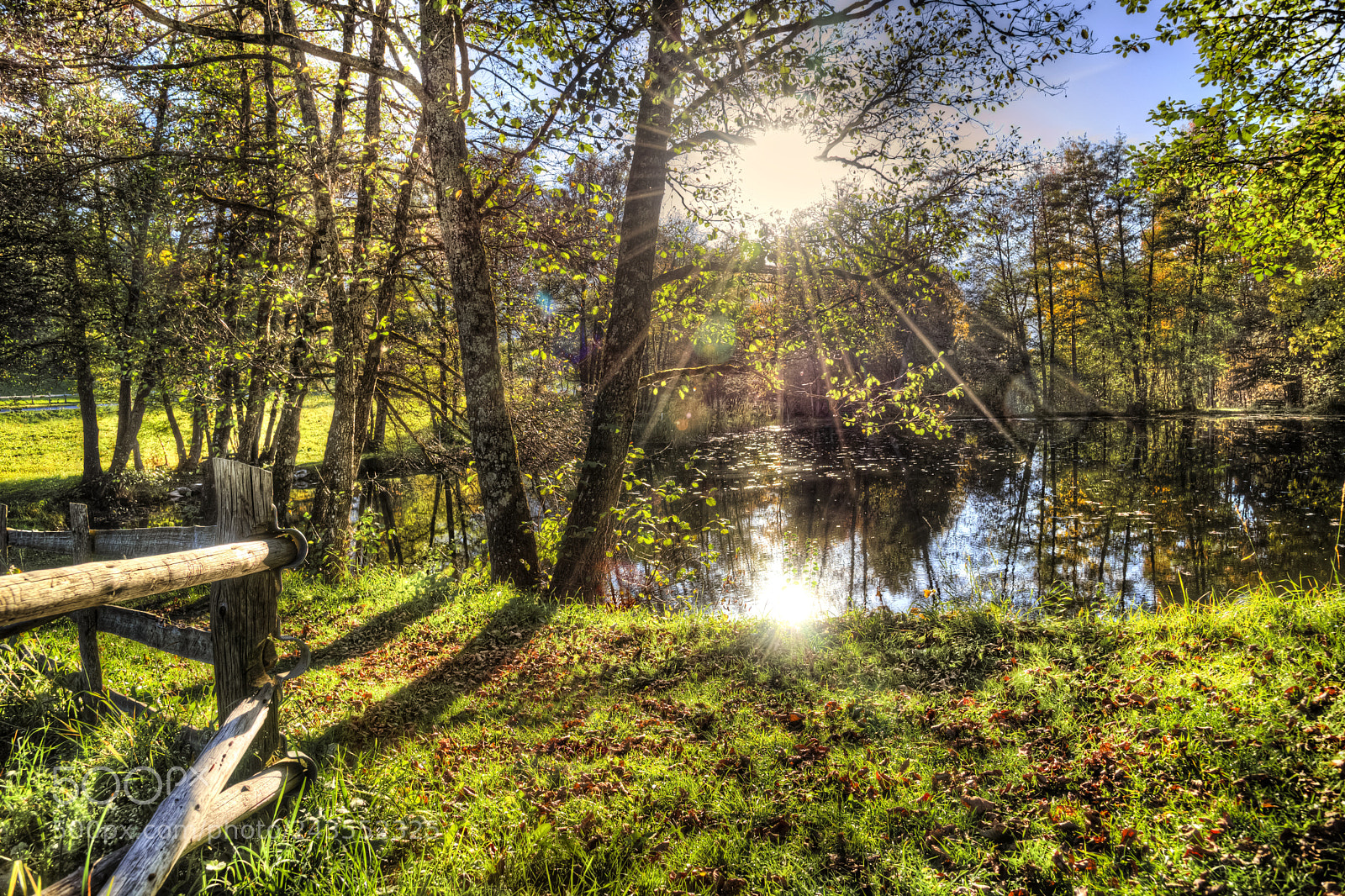 Nikon D750 sample photo. Autumn lake photography