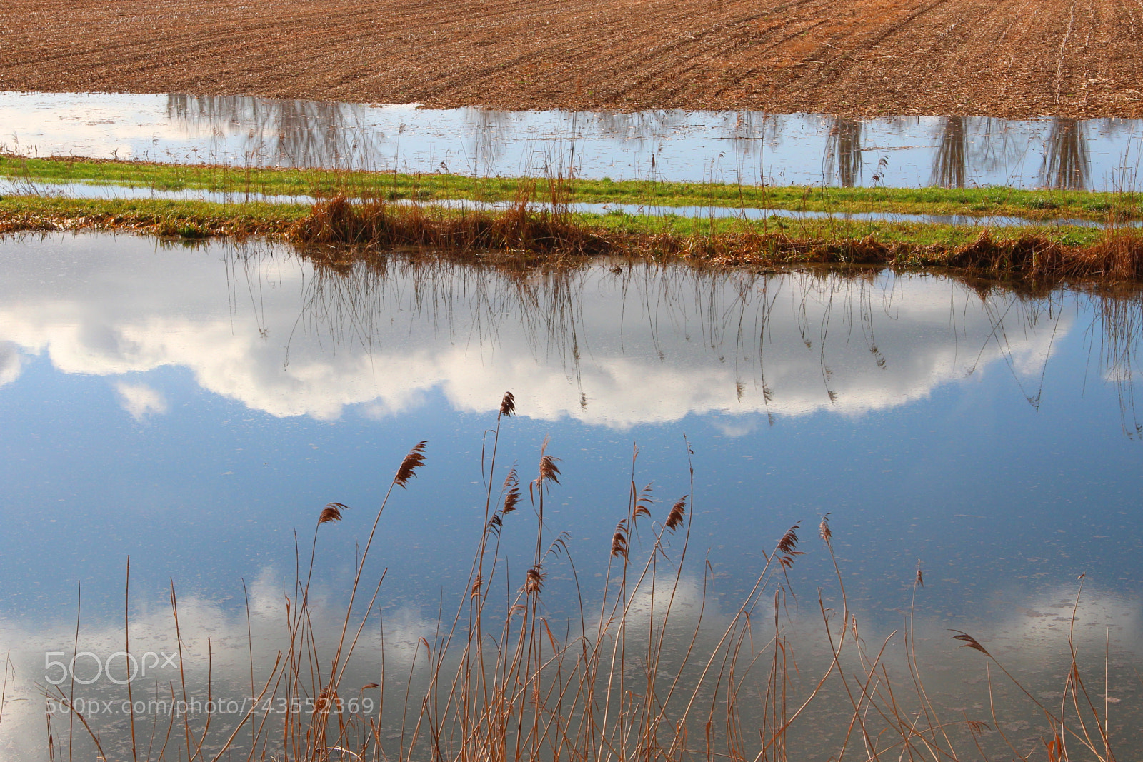 Canon EF-S 18-135mm F3.5-5.6 IS sample photo. 0629 photography
