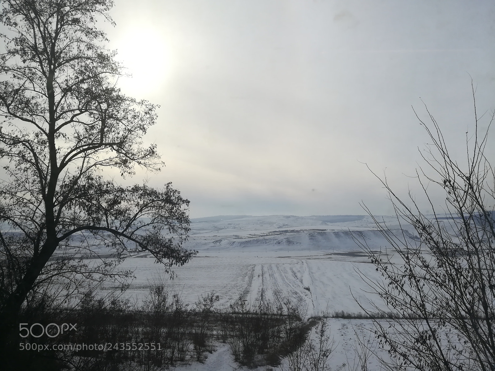 HUAWEI PRA-LX1 sample photo. Untitled photography