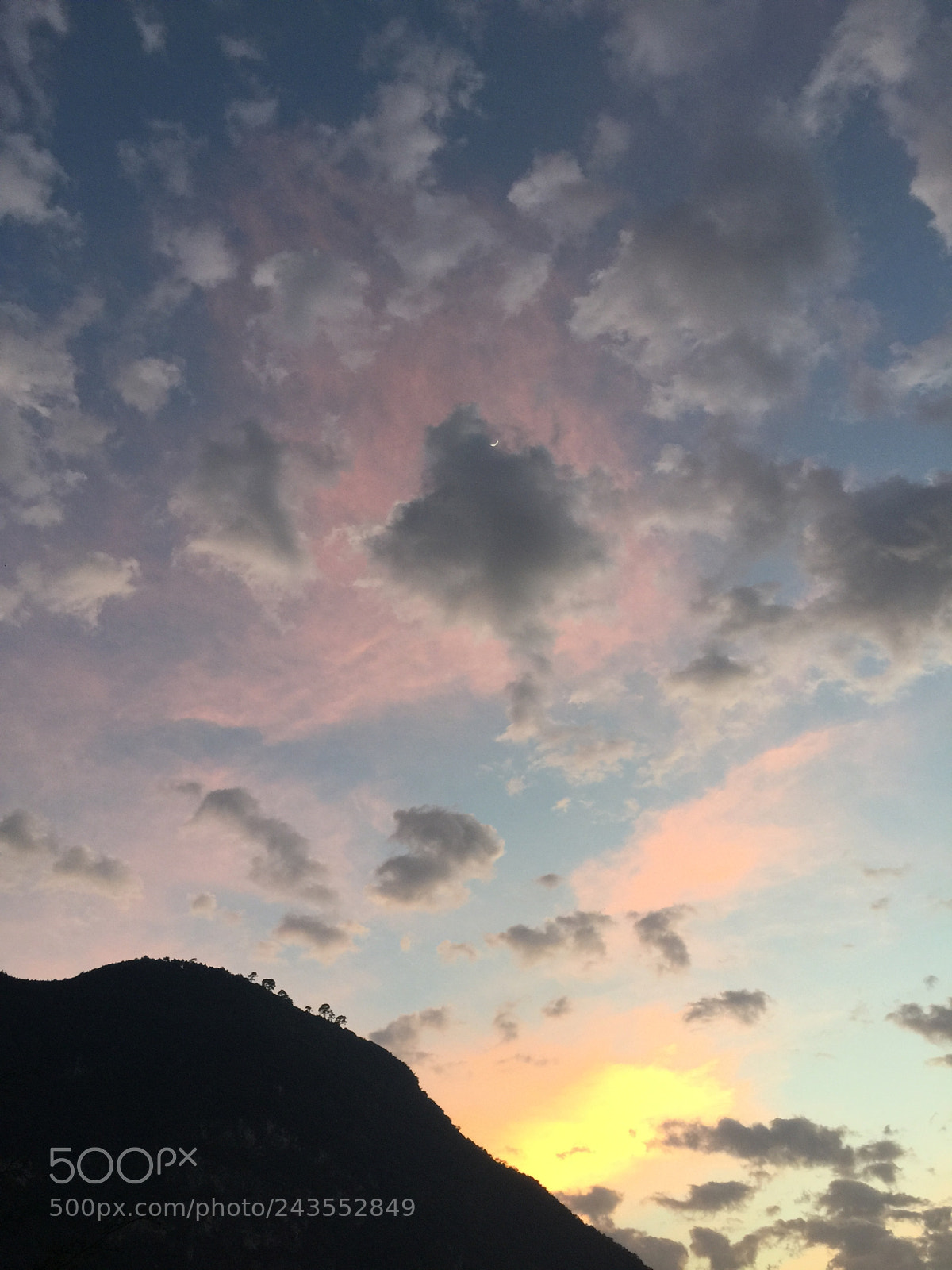 Apple iPhone 6 Plus sample photo. Untitled photography