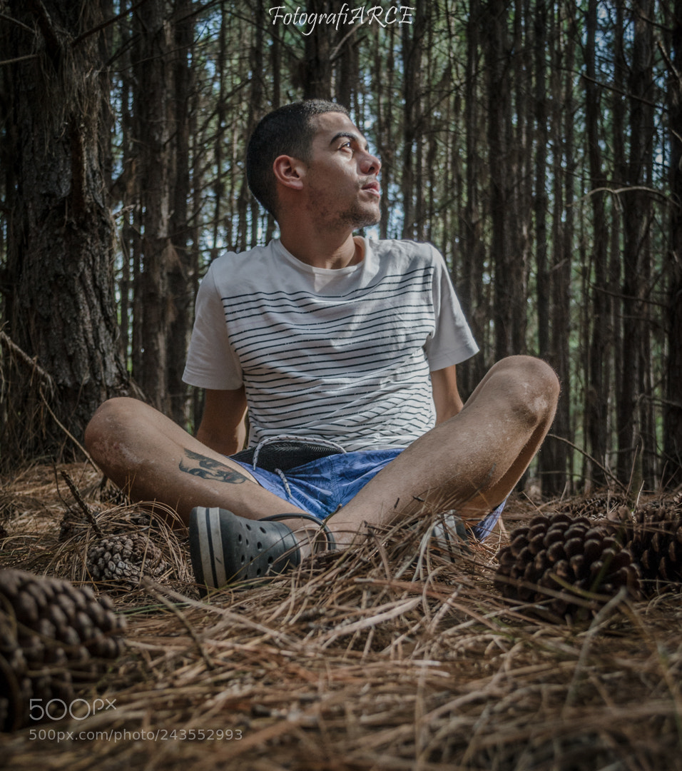 Nikon D3100 sample photo. () photography