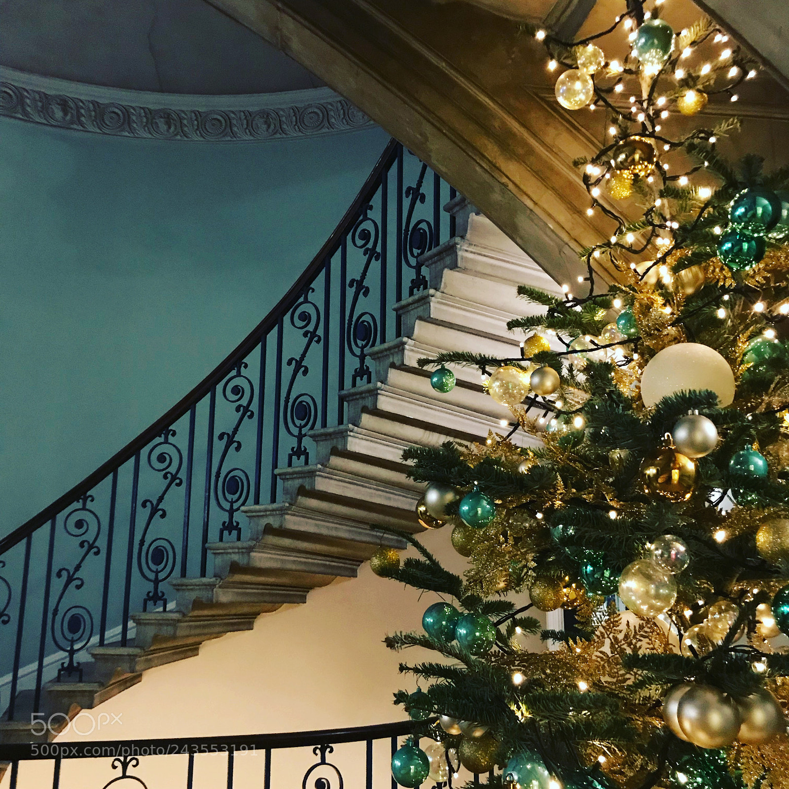 Apple iPhone 7 Plus sample photo. Fortnum photography