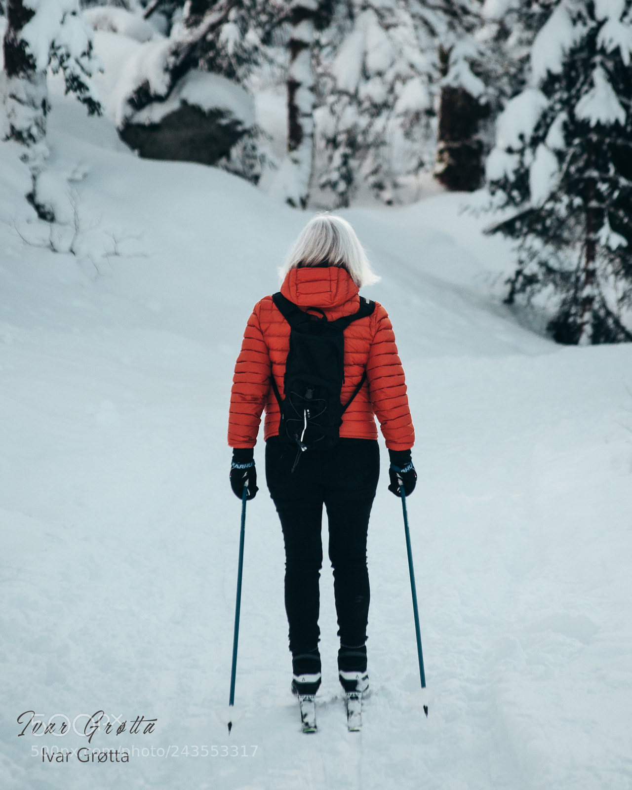 Nikon D5000 sample photo. Winter in bergen, norway photography