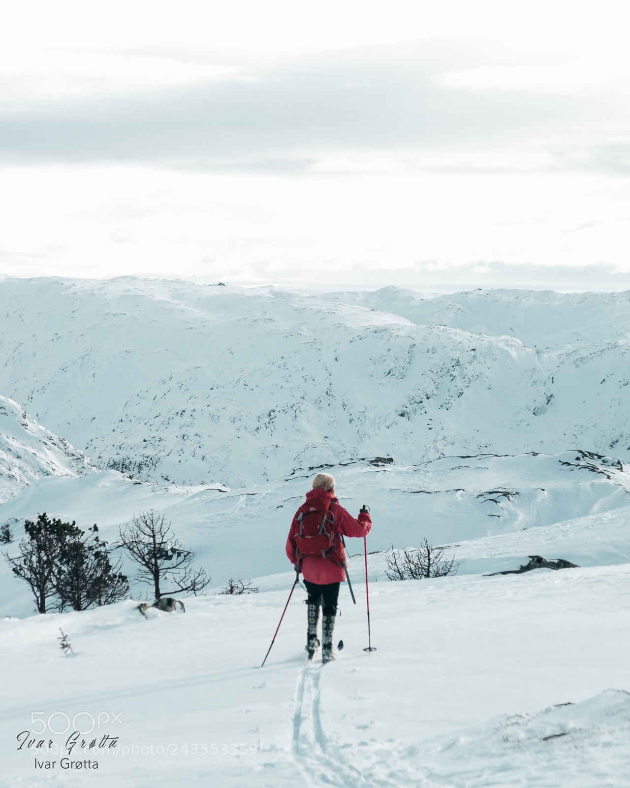 Nikon D5000 sample photo. Winter in bergen, norway photography