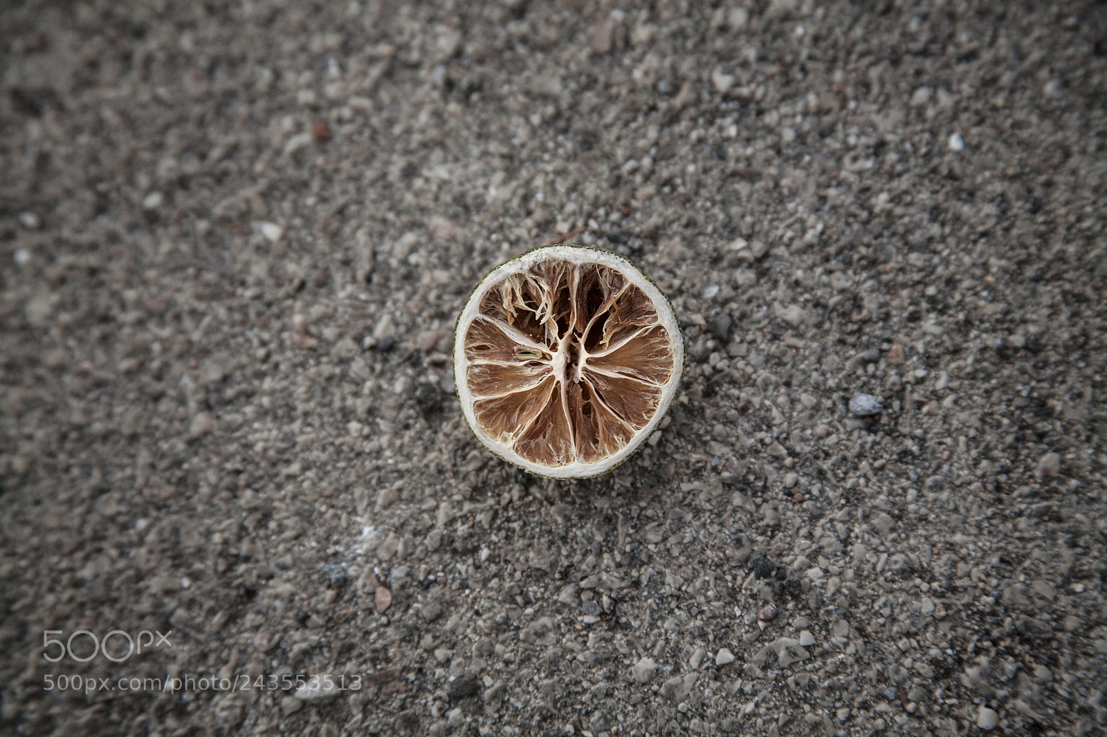 Canon EOS 5D sample photo. Citrus 2409 photography