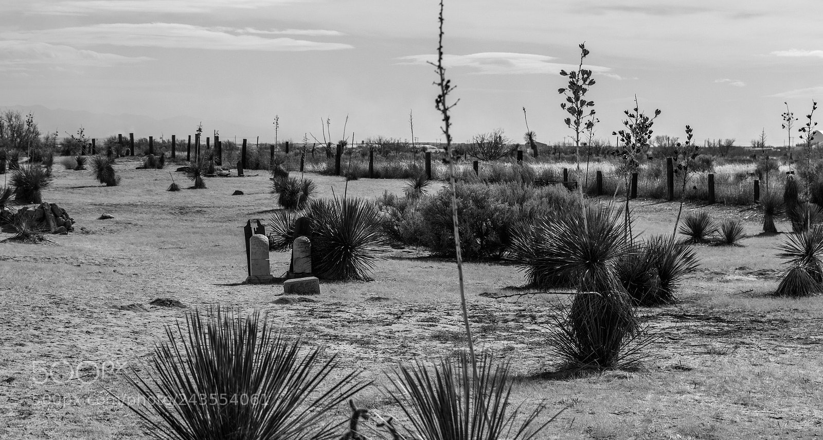 Canon EOS 7D Mark II sample photo. Graveyard photography