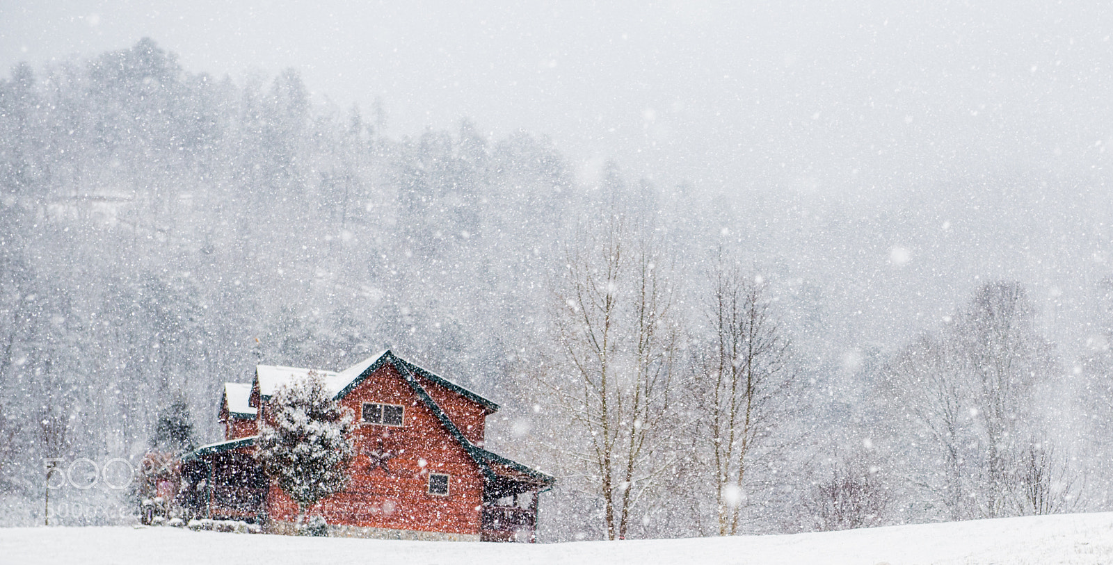 Nikon D800 sample photo. Cabin in the snow photography