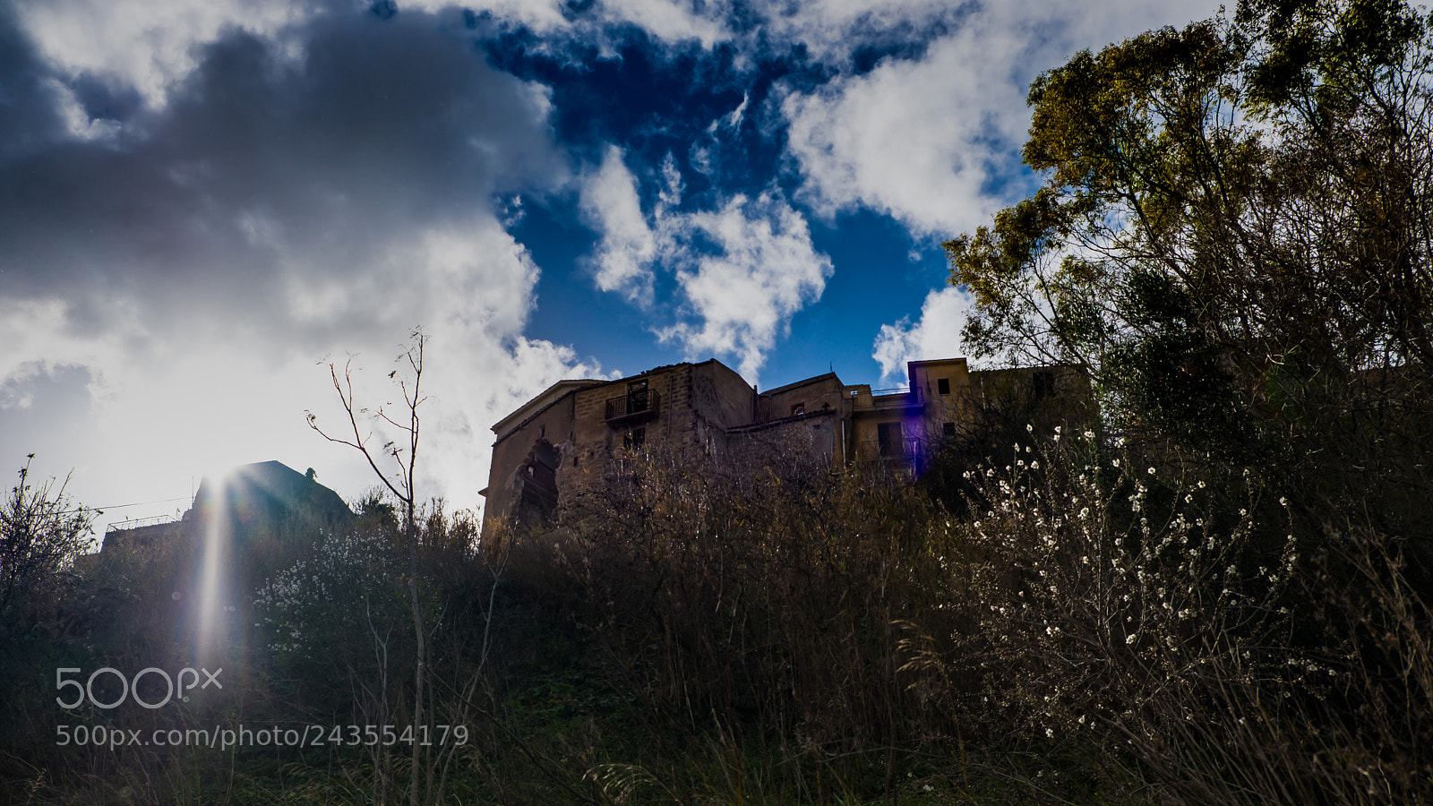 Fujifilm X-T20 sample photo. Untitled photography