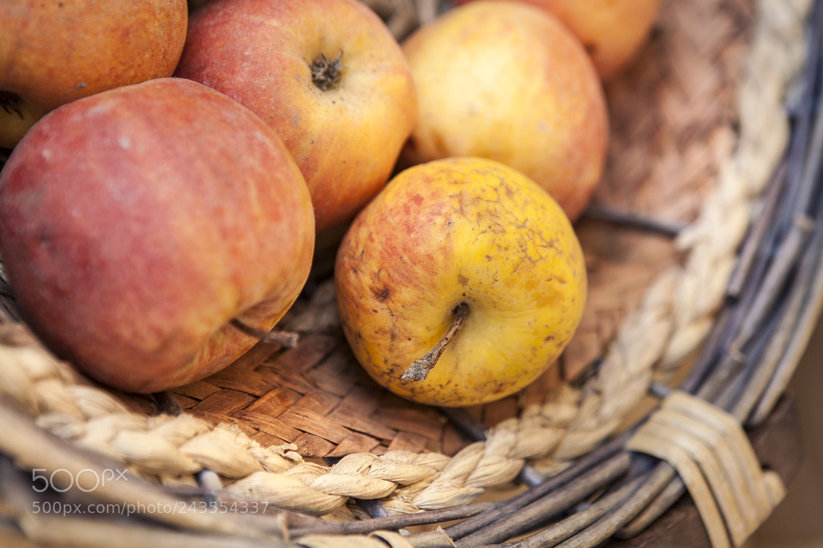 Canon EOS 5D sample photo. Apple 6887.jpg photography