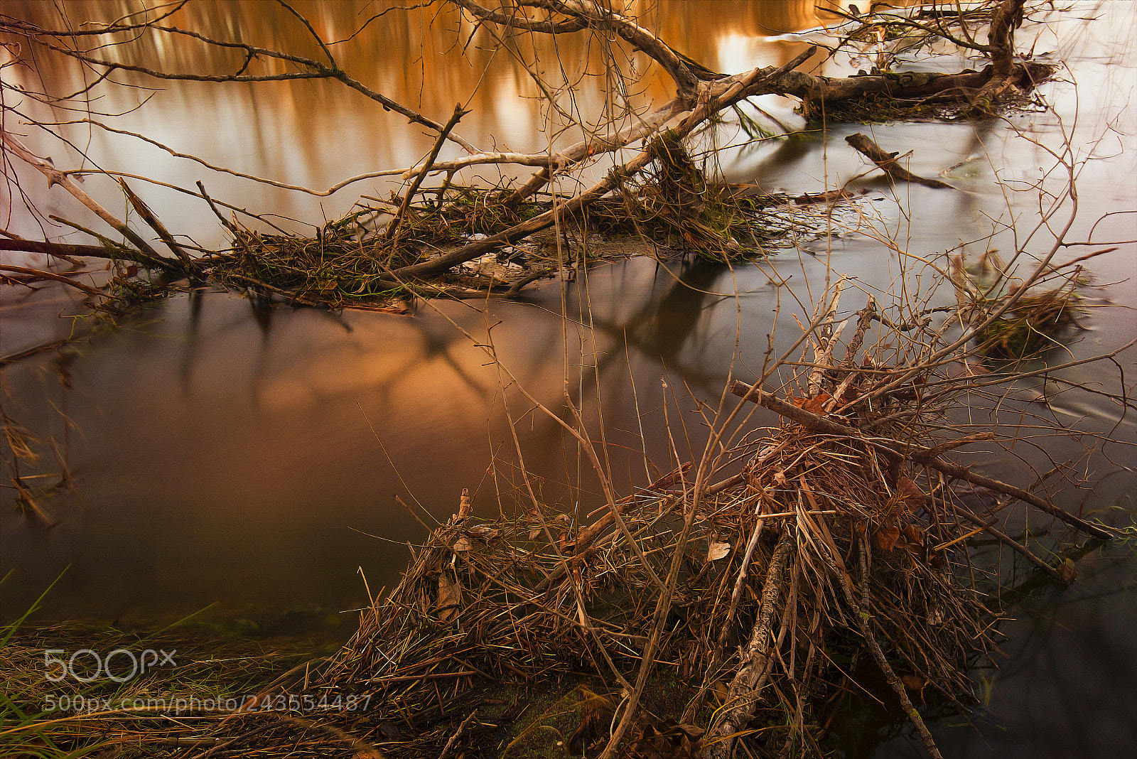 Nikon D610 sample photo. Riada photography