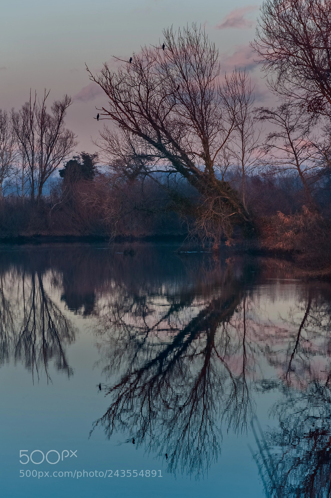 Nikon D700 sample photo. Last lights on the photography