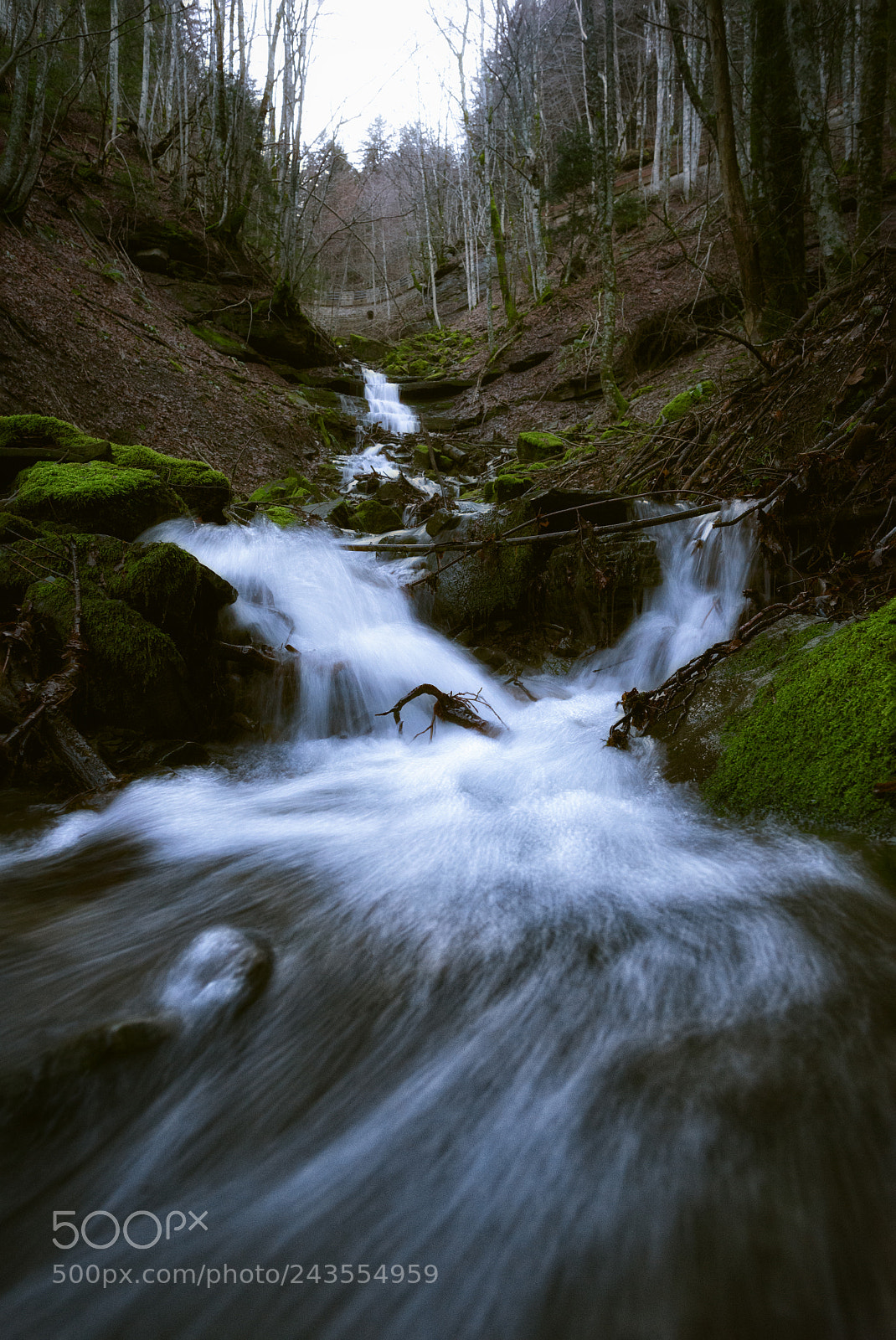 Nikon D610 sample photo. Stream photography