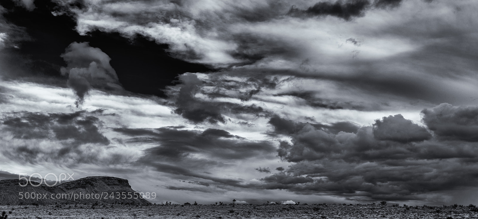 Sony a7 sample photo. After the rain photography