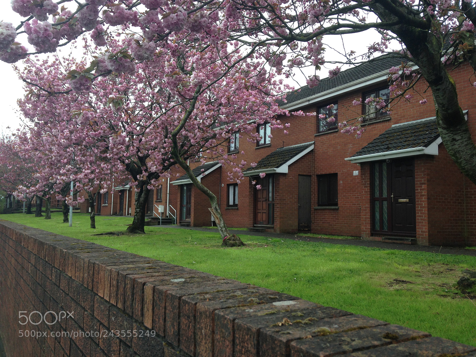Apple iPhone 5 sample photo. Limerick houses photography