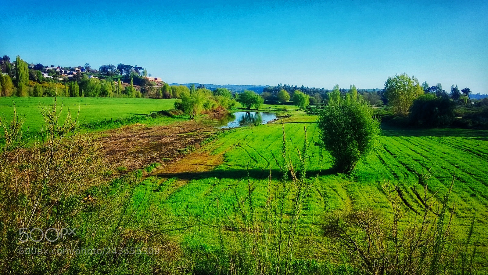 Samsung Galaxy Grand Prime sample photo. Verde azul photography