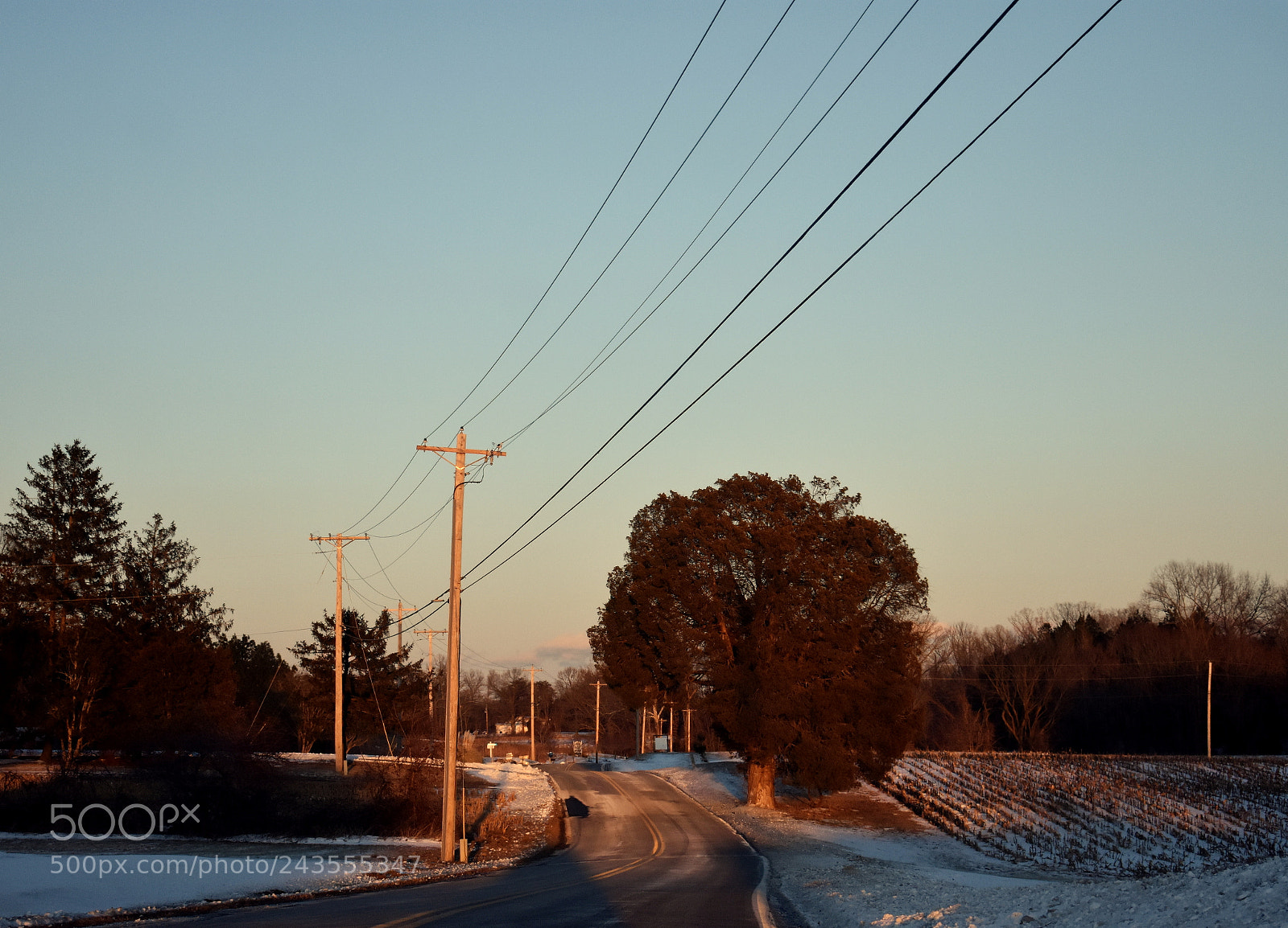 Nikon D3400 sample photo. Untitled photography