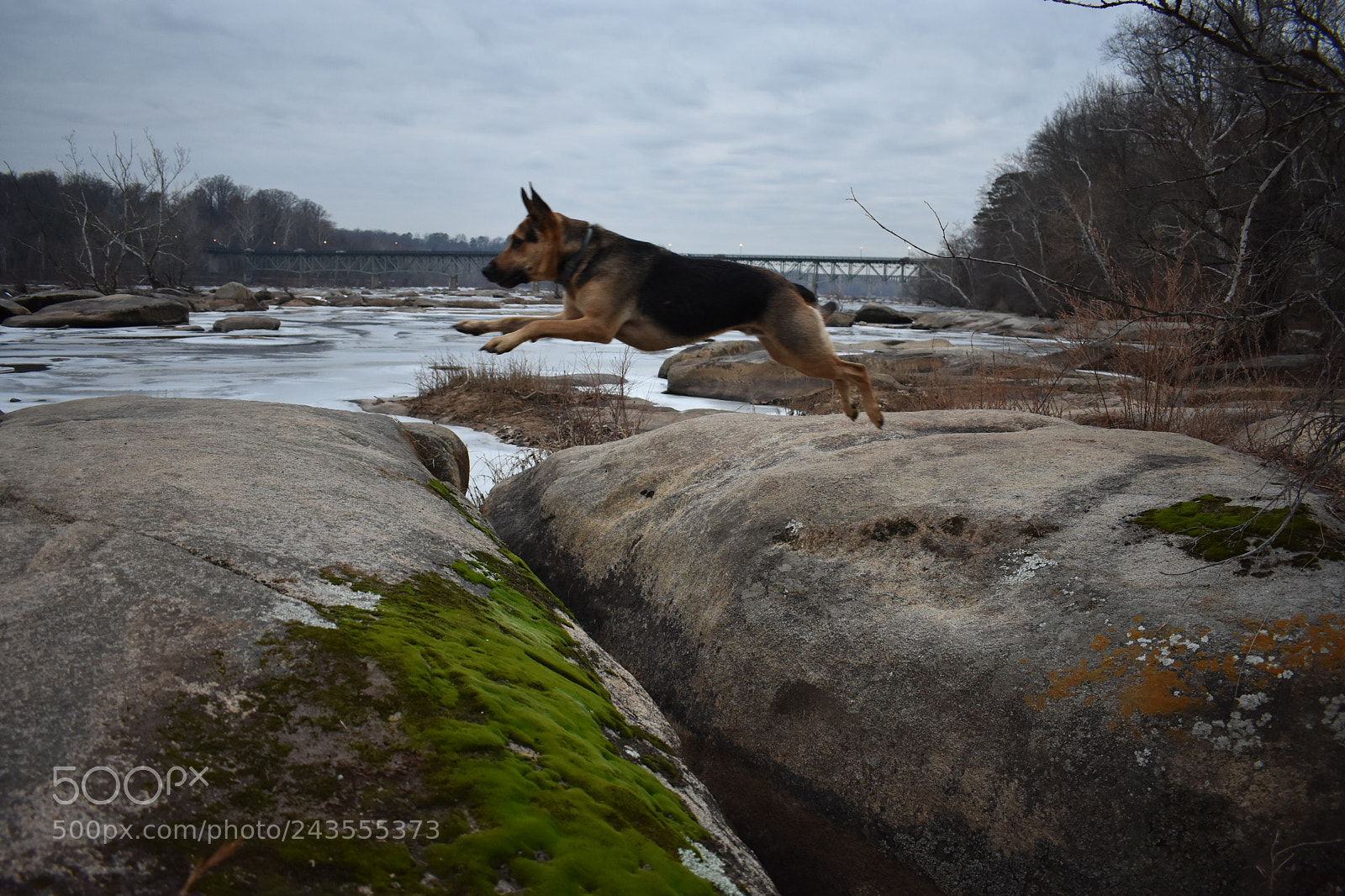 Nikon D3400 sample photo. Untitled photography