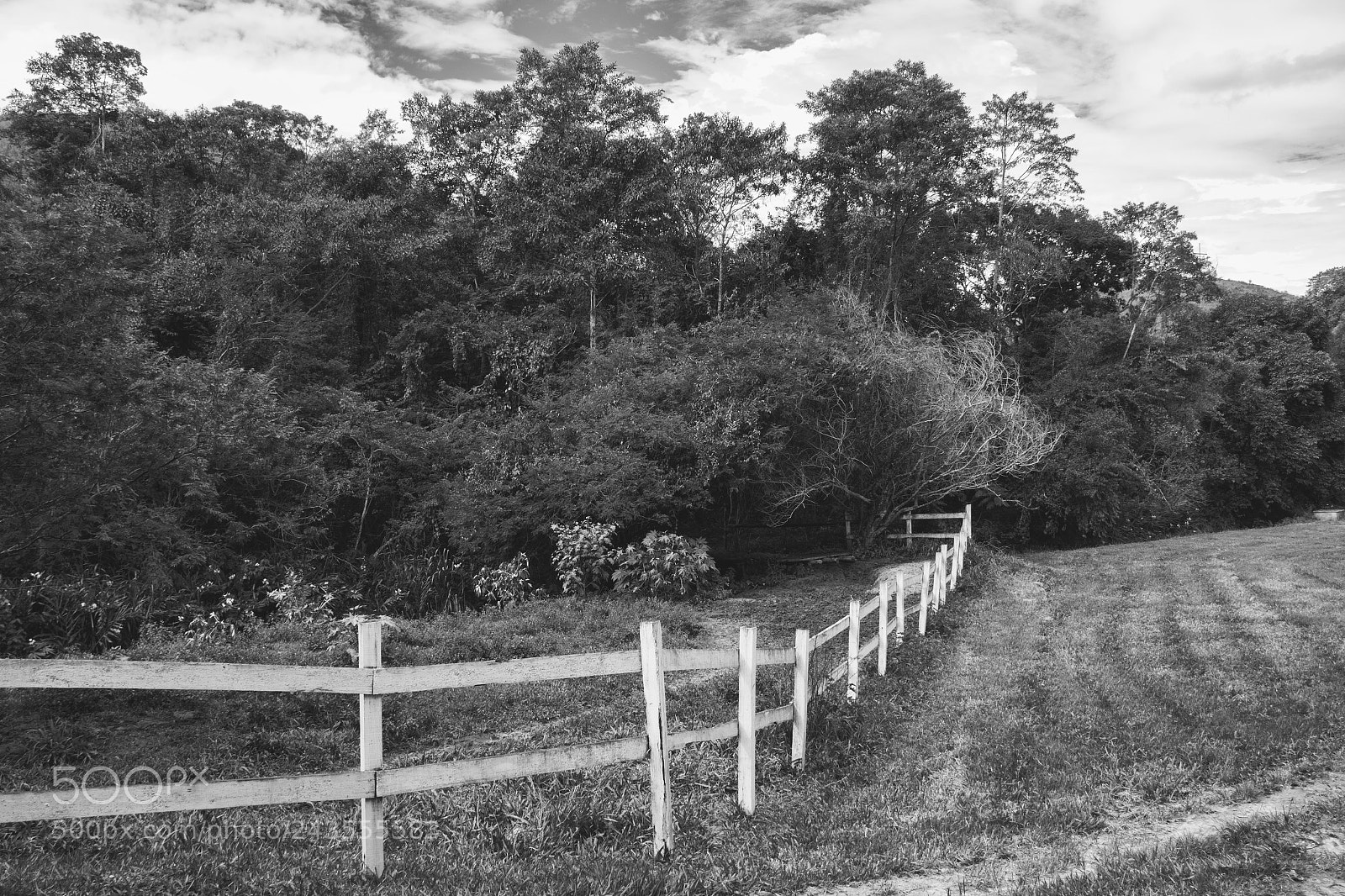 Canon EOS 60D sample photo. Farm photography
