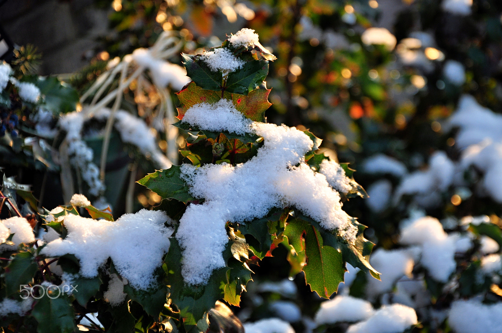 Nikon D5000 sample photo. Winter 1 photography