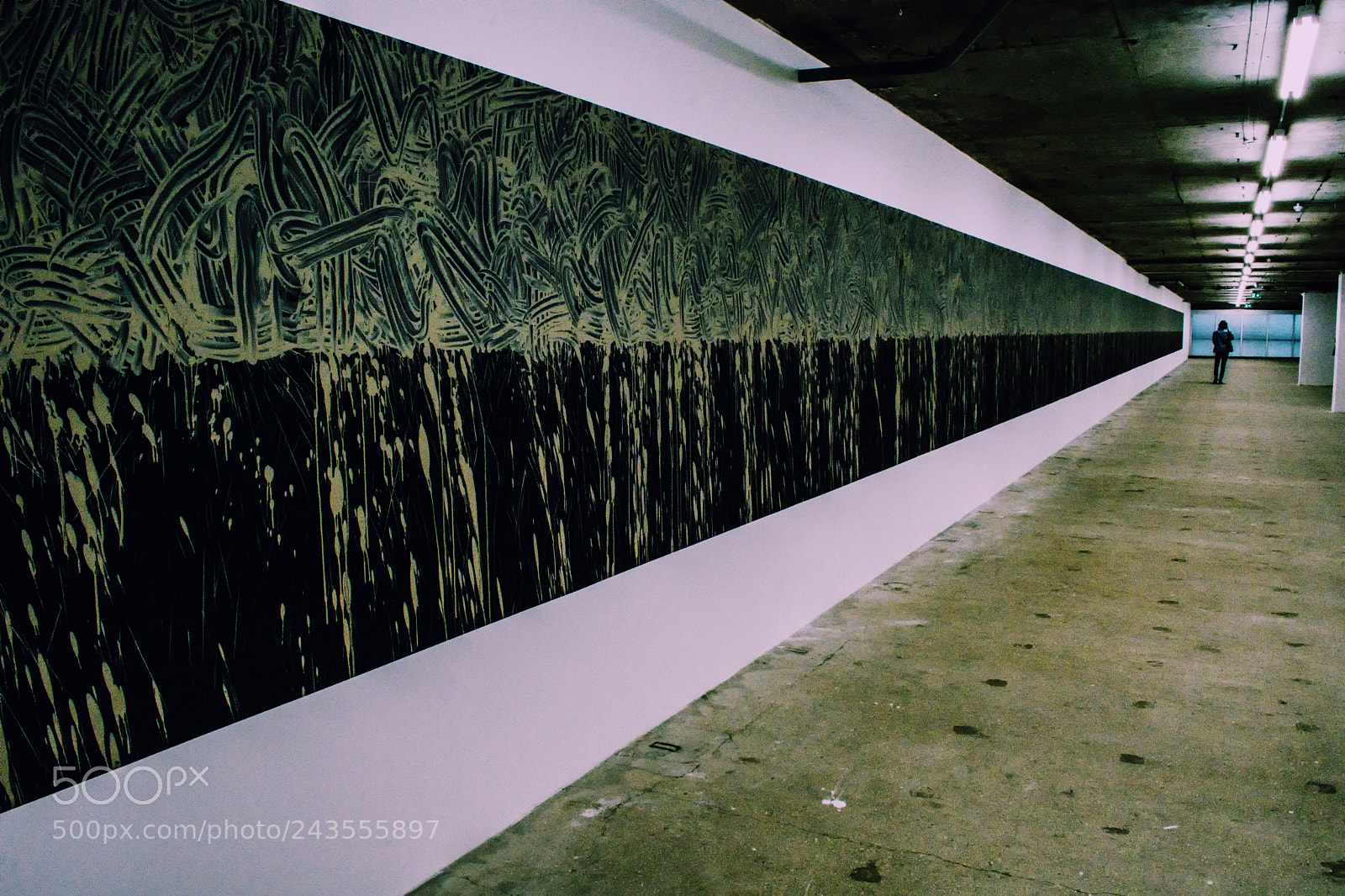 Nikon D7200 sample photo. Untitled no. 5326 photography