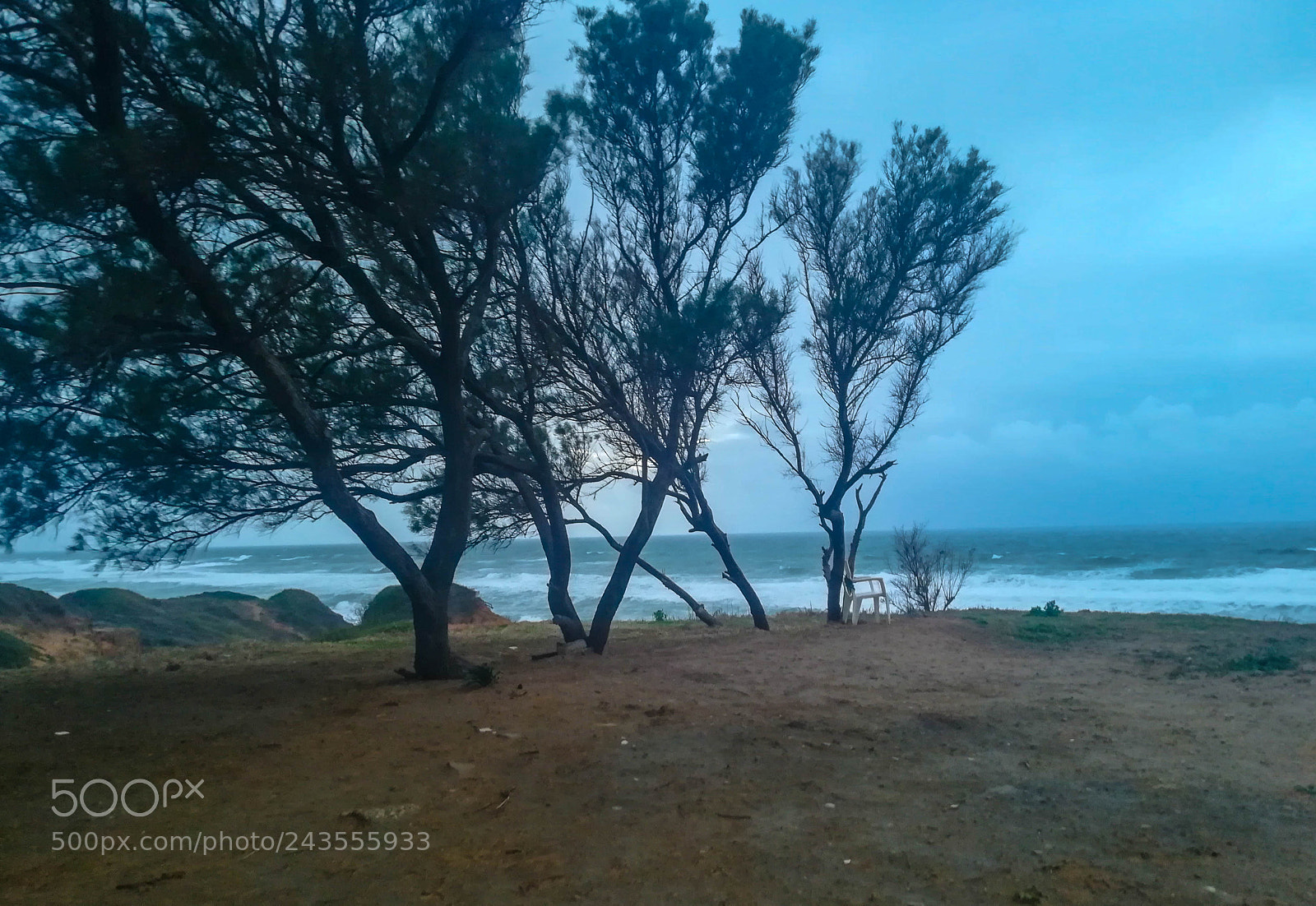 HUAWEI PRA-LX1 sample photo. Untitled photography