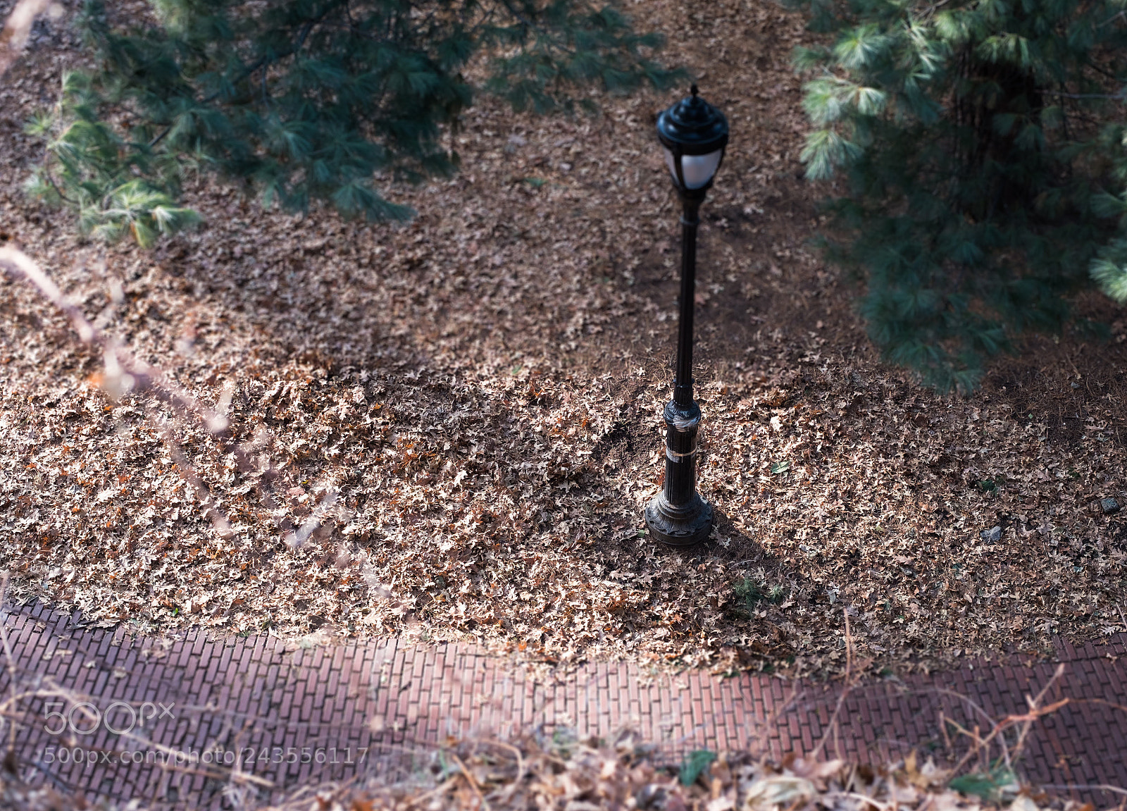 Fujifilm X-T2 sample photo. Fort tryon park, nyc photography