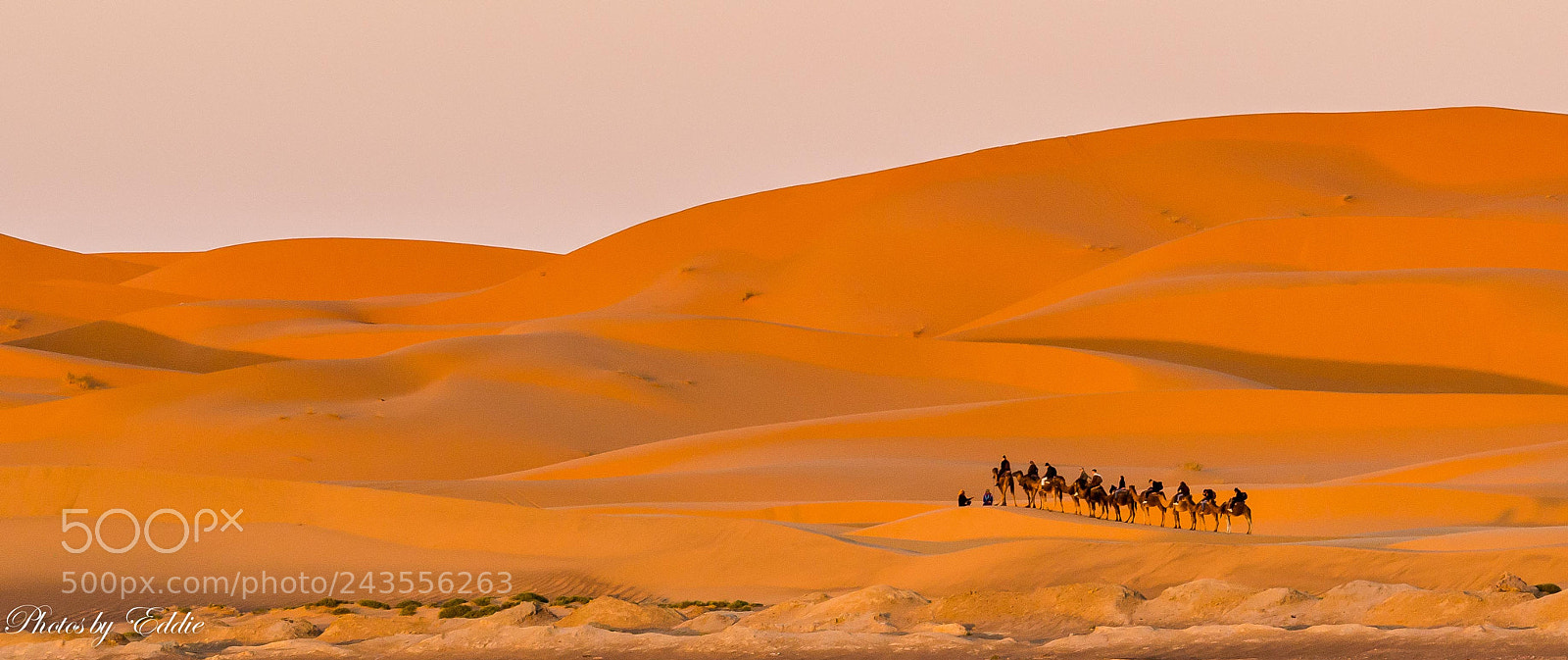 Olympus OM-D E-M1 Mark II sample photo. Desert train photography