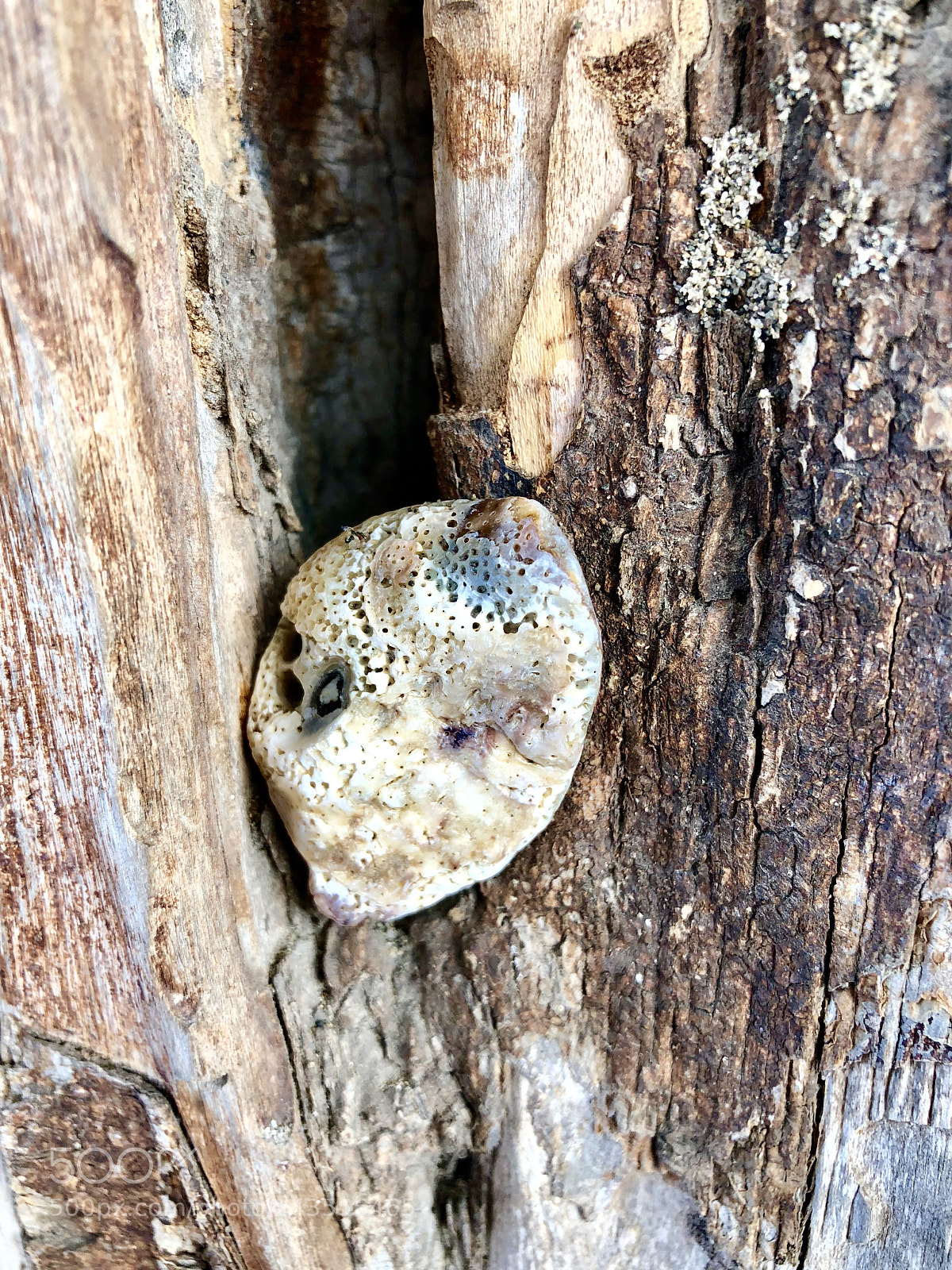 Apple iPhone X sample photo. Rock visit my website photography