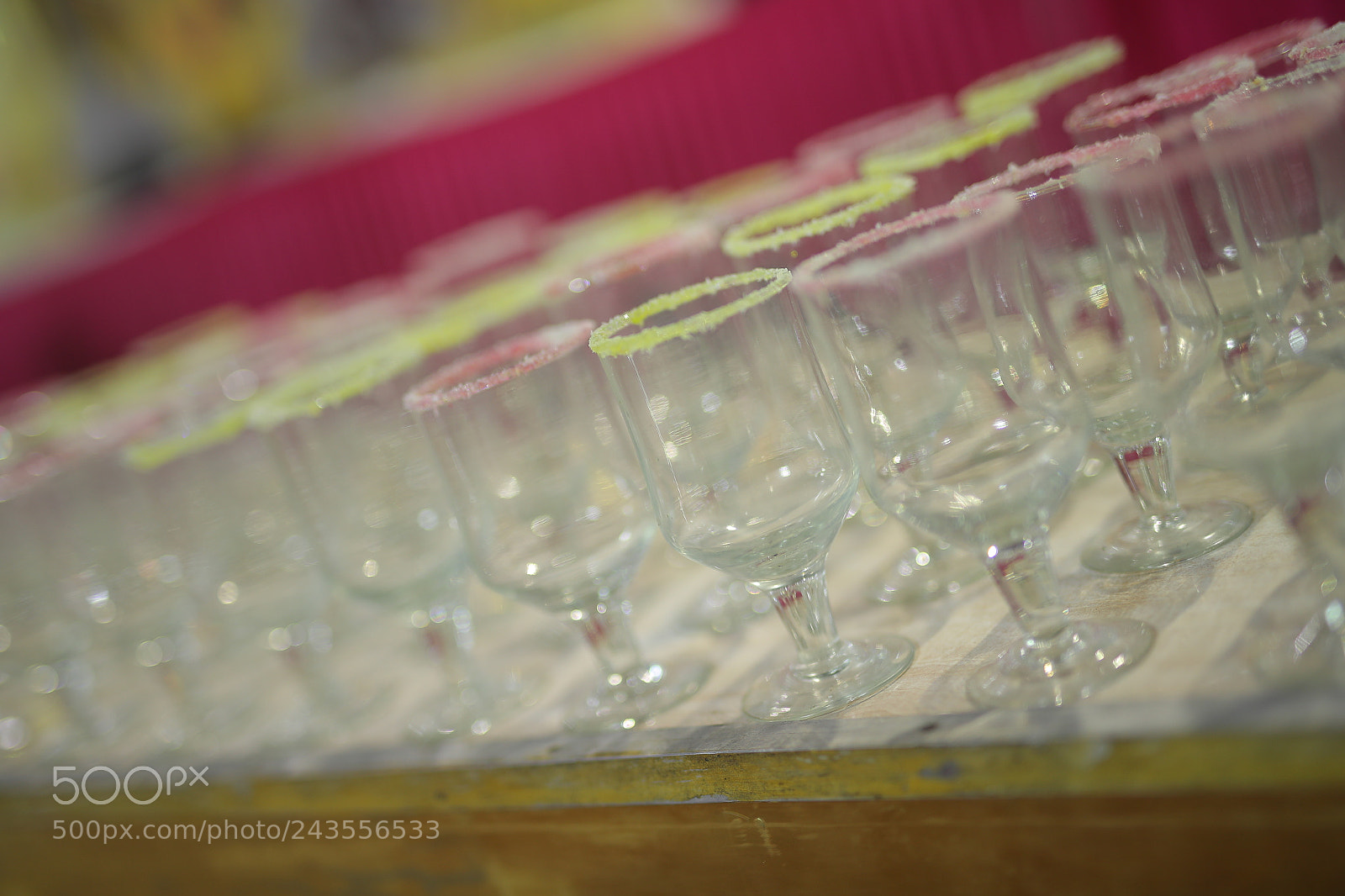 Canon EOS-1D X Mark II sample photo. Untitled photography
