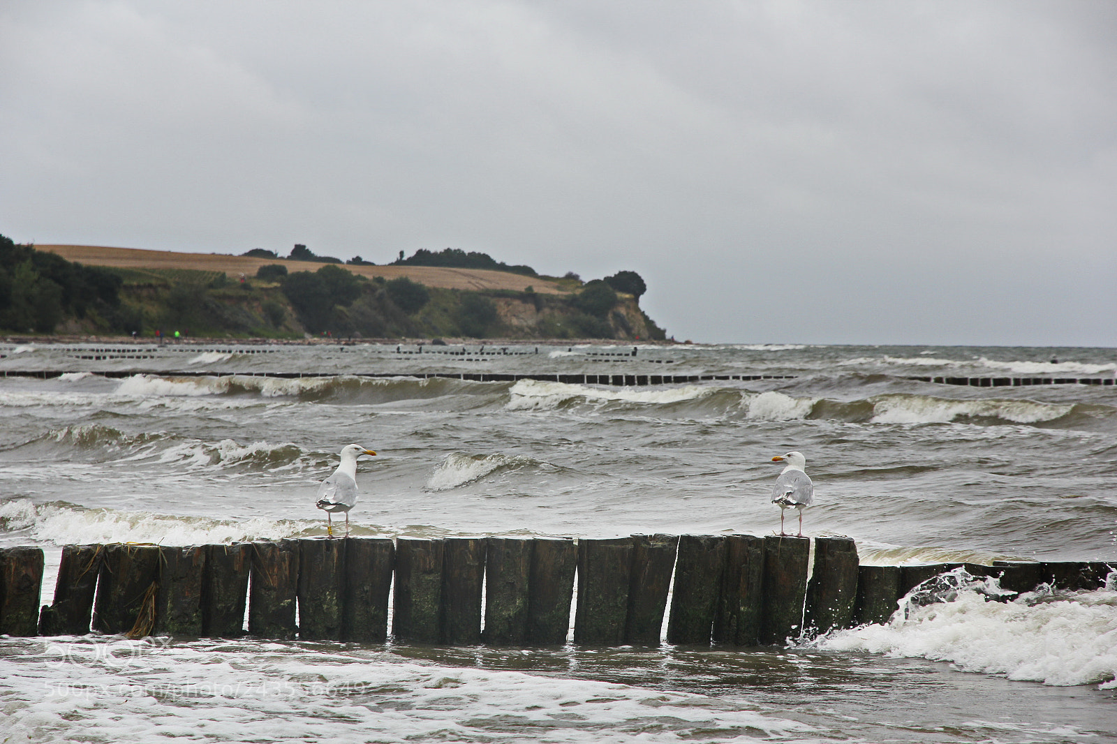 Canon EOS 60D sample photo. Baltic sea photography