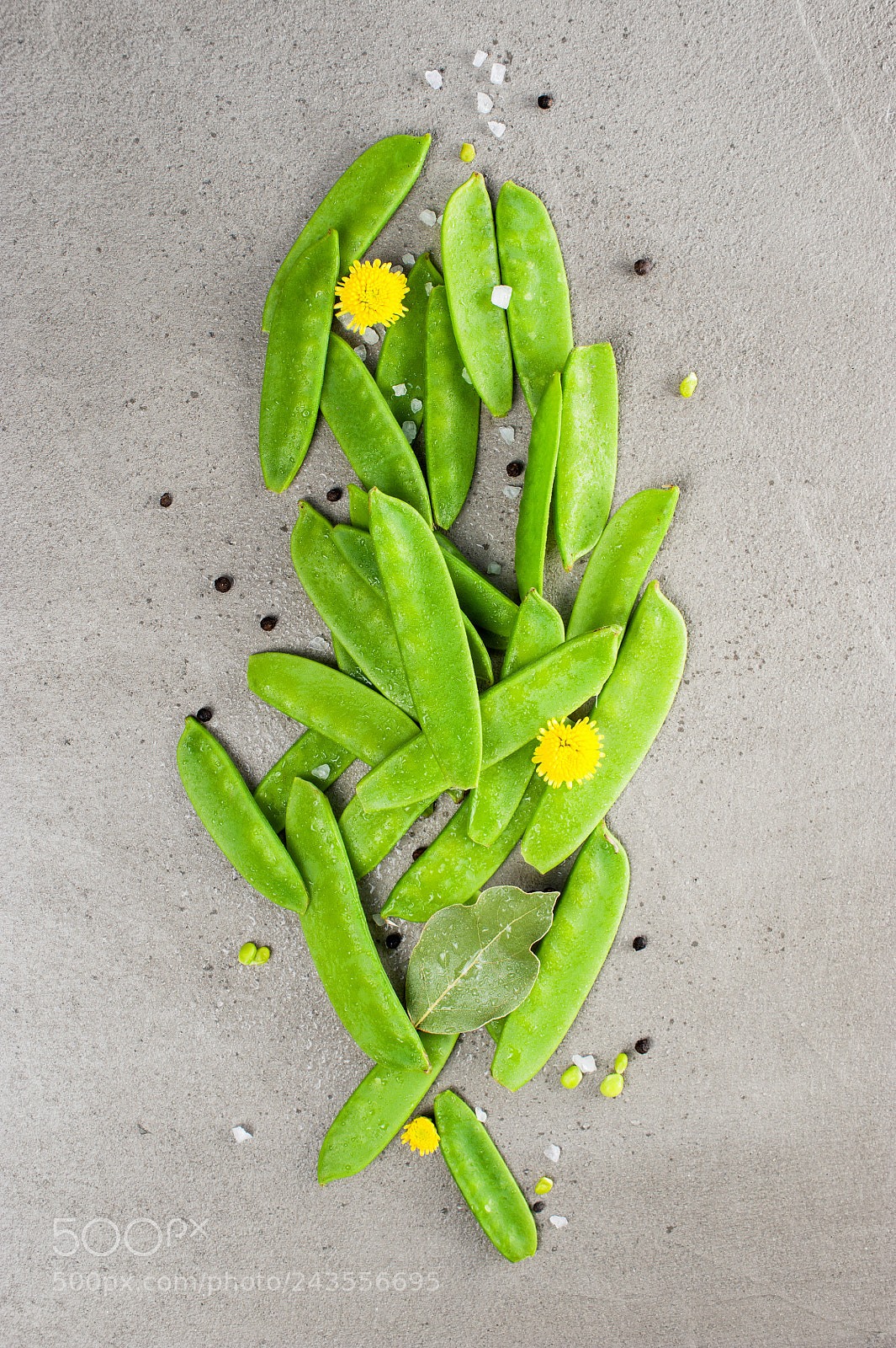 Nikon D700 sample photo. Composition of sweet peas photography